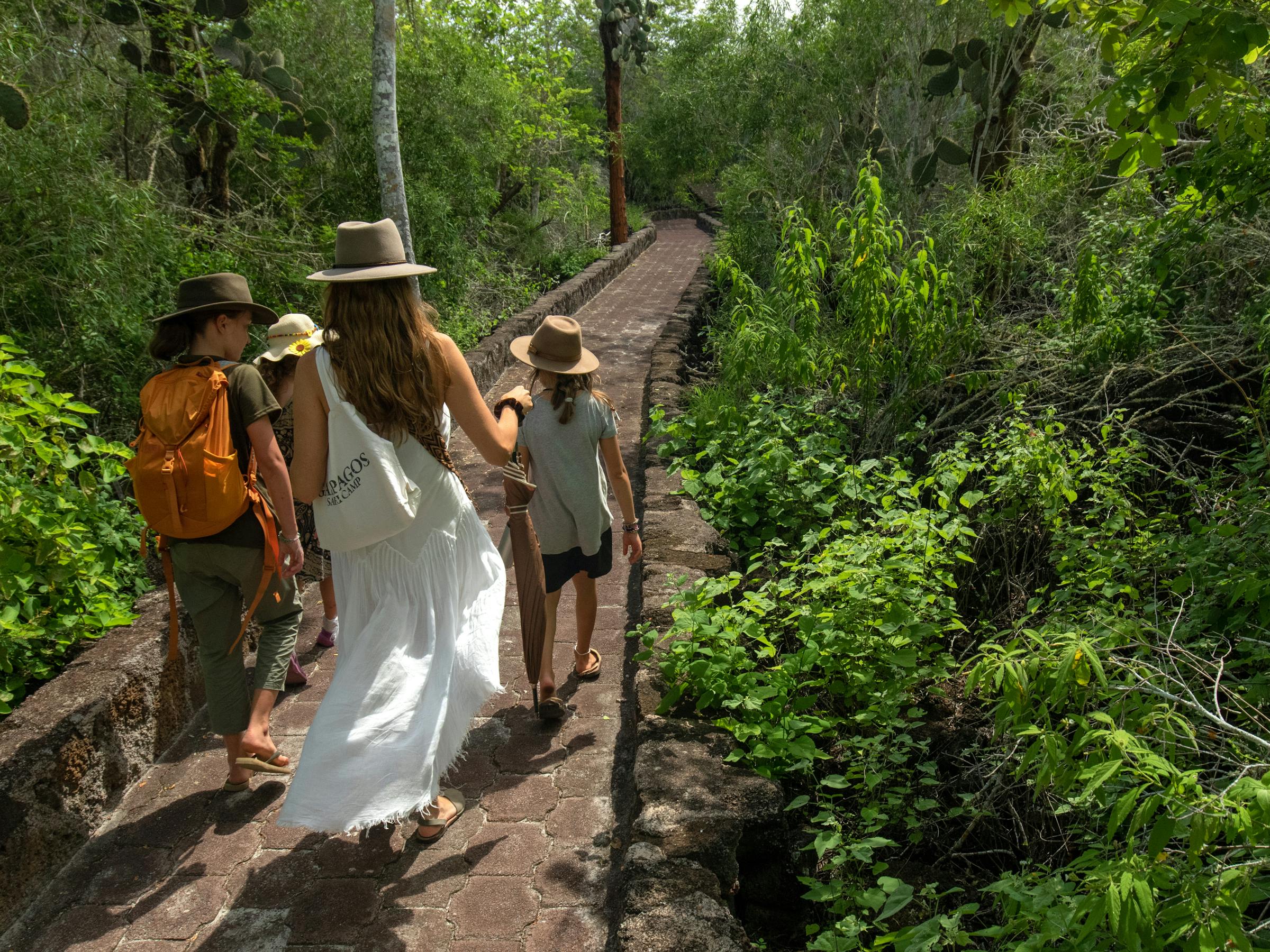 Four hikers in sun hats walk a stone path through dense green forest, surrounded by lush tropical plants.