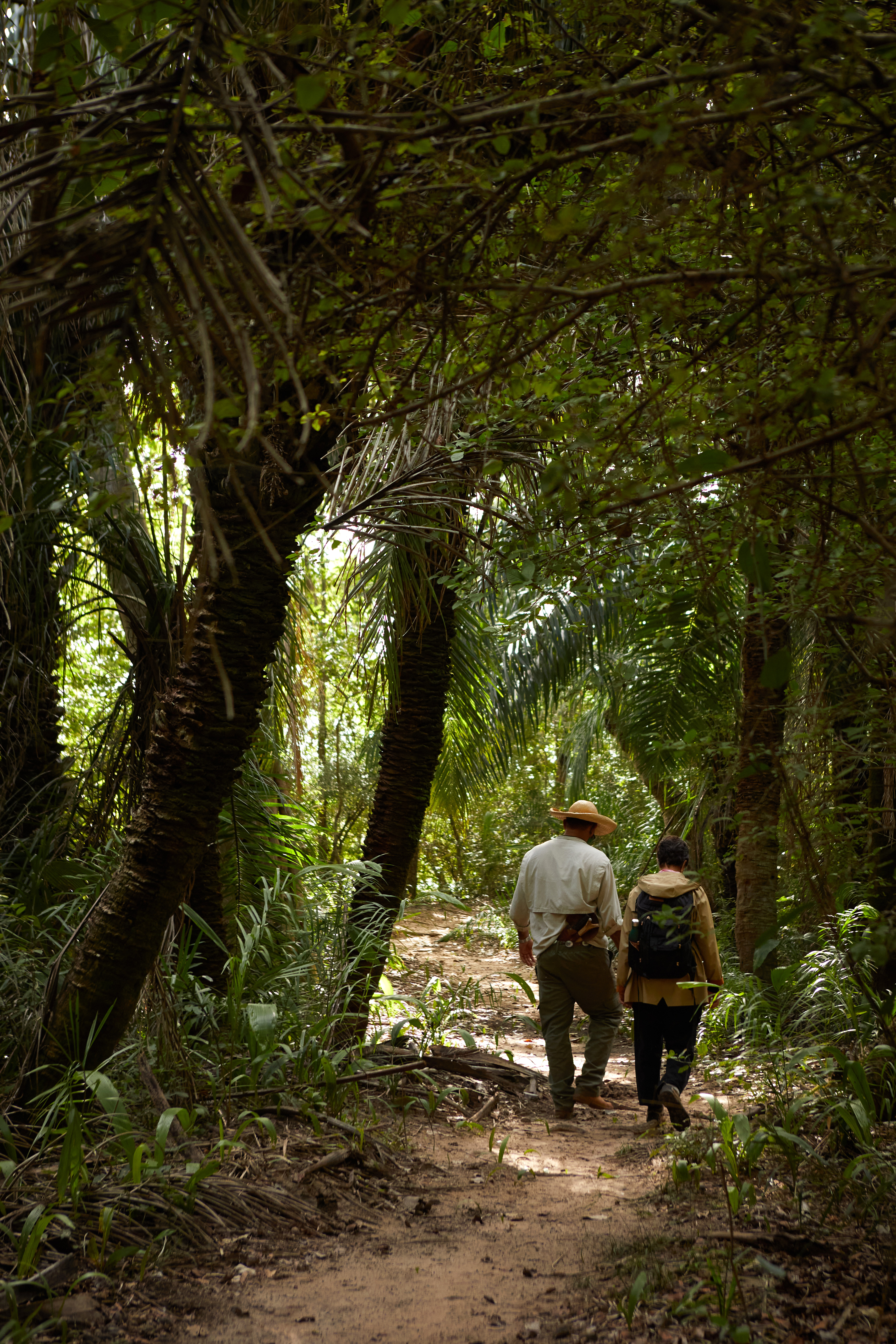 Two people walk along a narrow forest path beneath dense green canopy, with dappled sunlight on the ground around them.