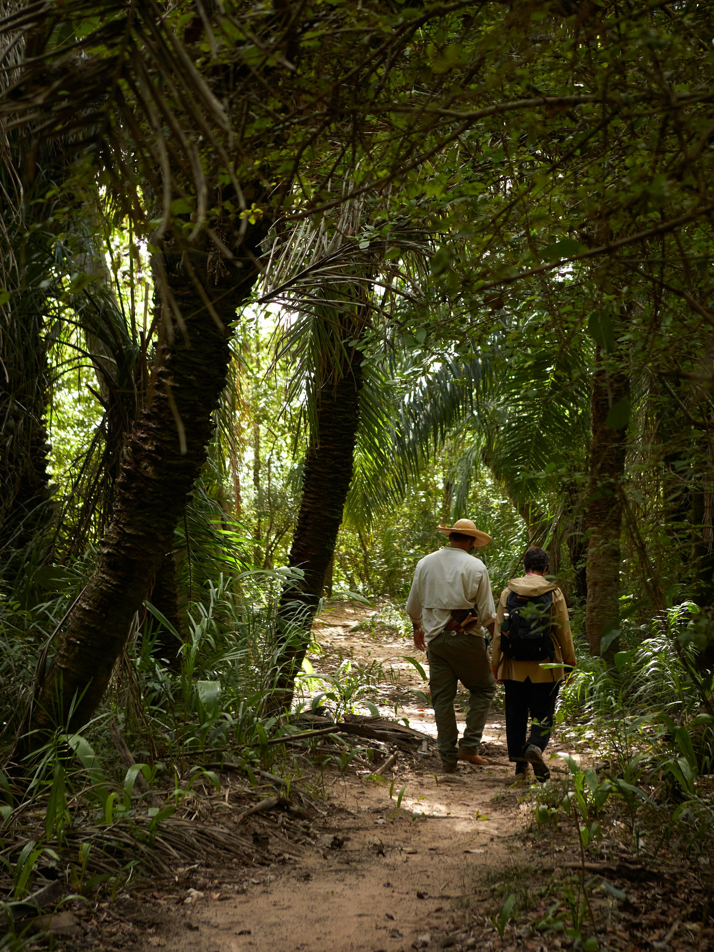 Two people walk along a narrow forest path beneath dense green canopy, with dappled sunlight on the ground around them.