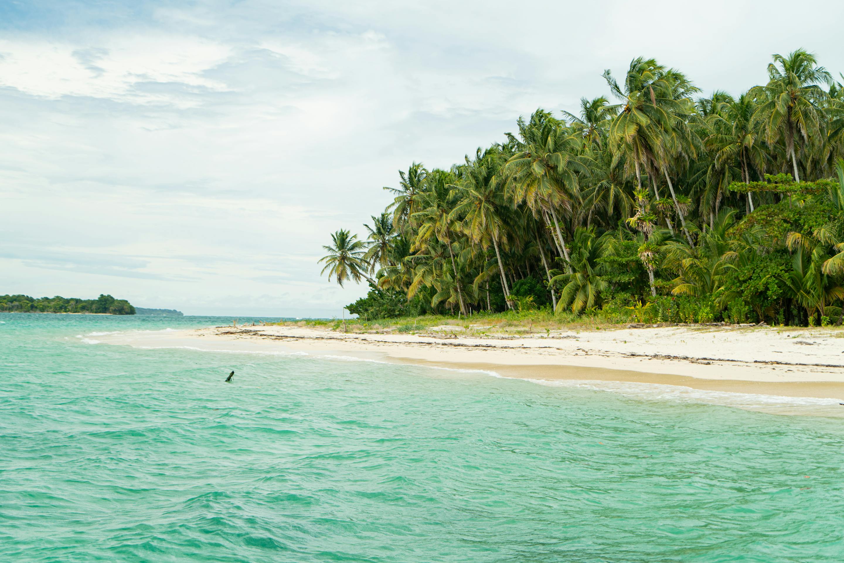 Turquoise water laps a white sand beach backed by dense palm trees and jungle greenery under a bright, hazy sky.