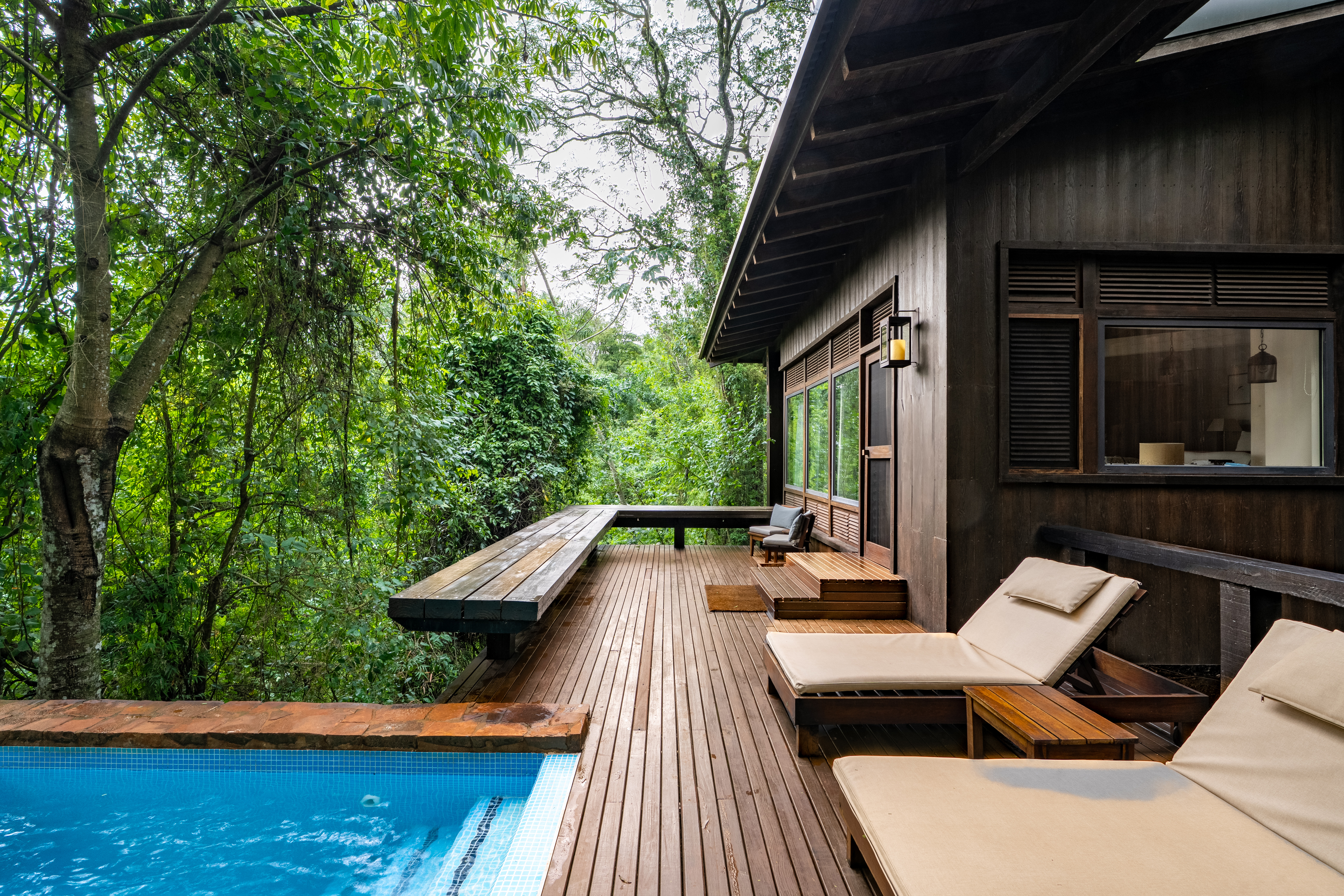 Infinity pool beside a wooden lodge deck sits in dense forest, with lounge chairs and wet stone edging nearby.