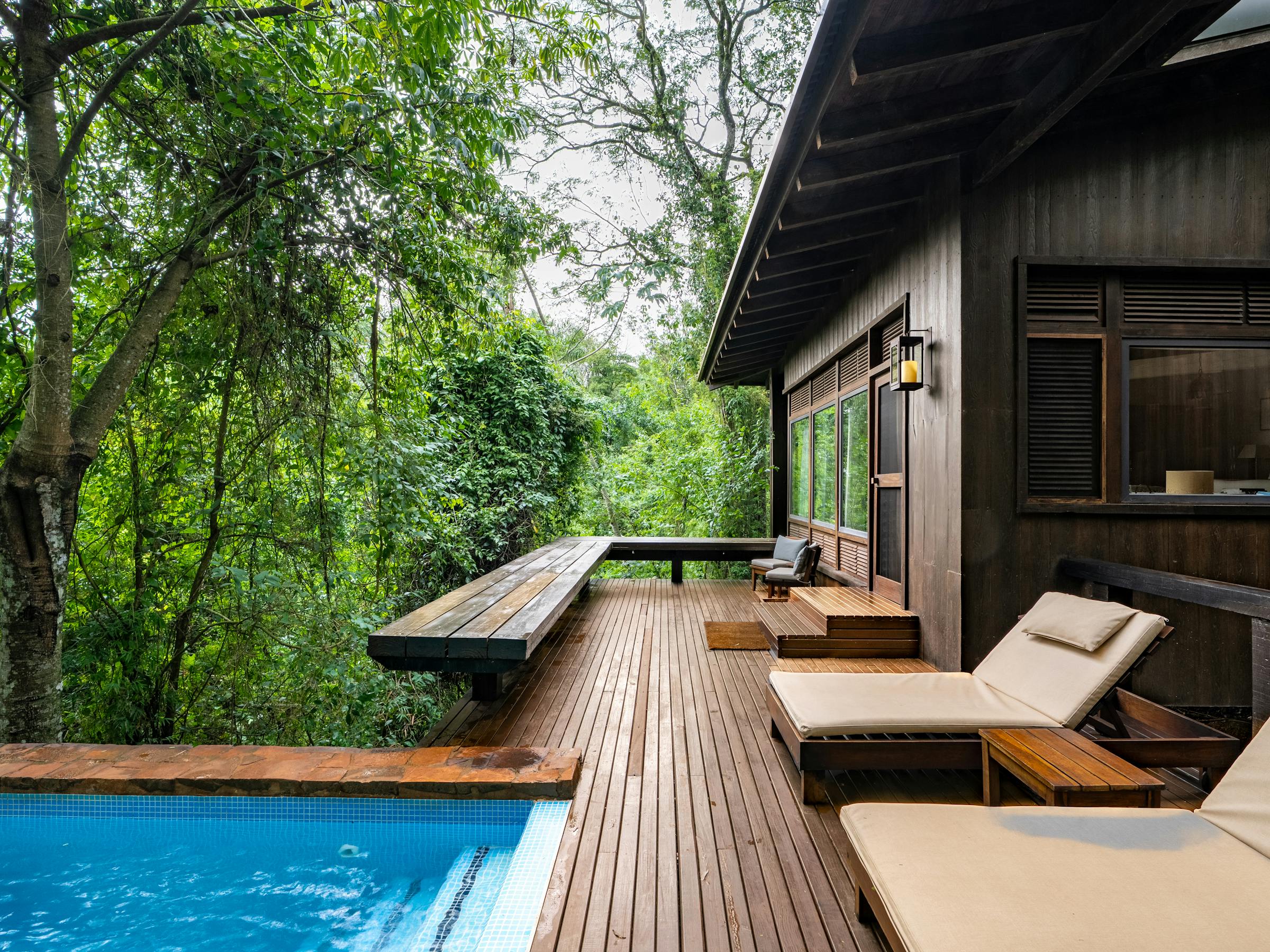 Infinity pool beside a wooden lodge deck sits in dense forest, with lounge chairs and wet stone edging nearby.