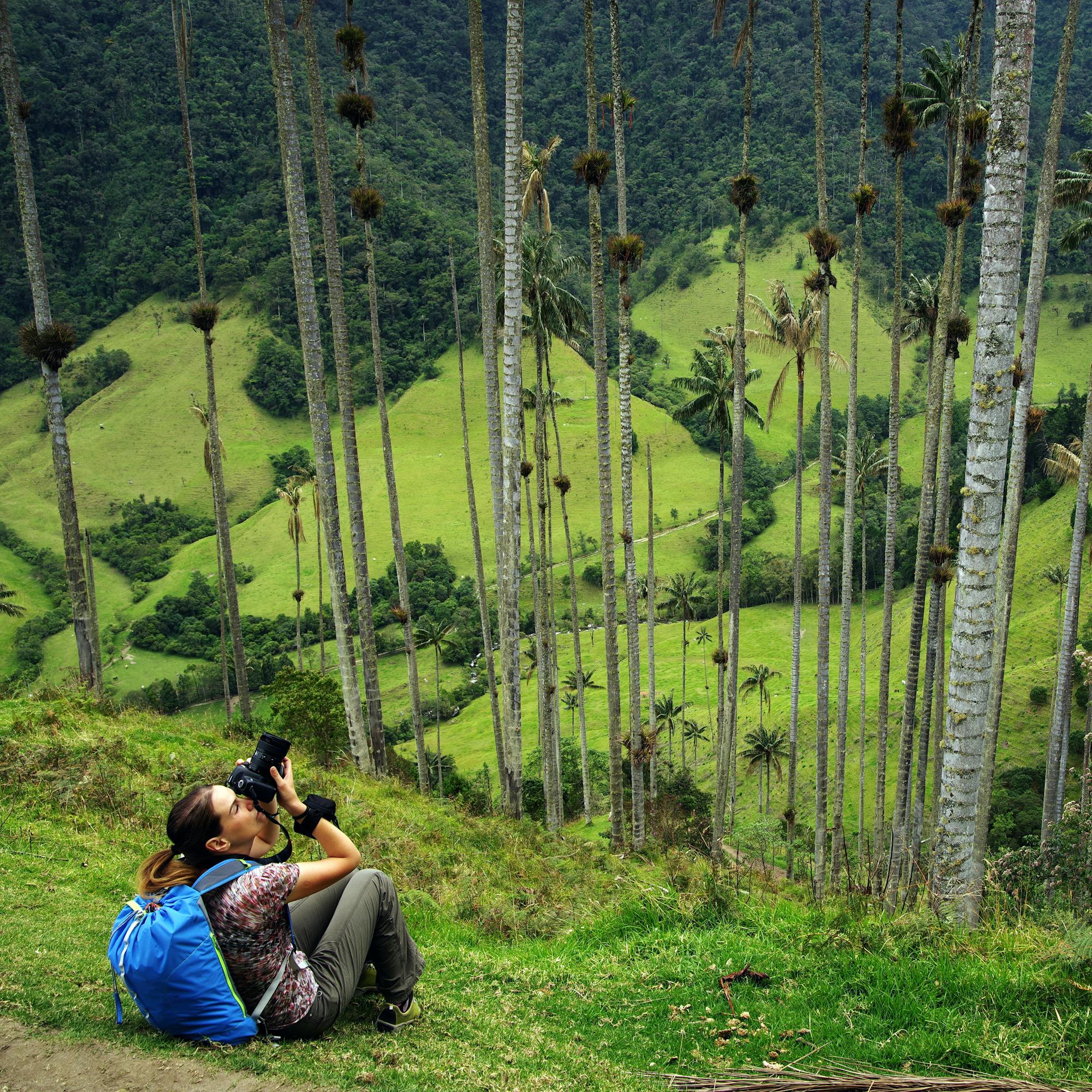 Person sits on a grassy hillside facing a valley of tall wax palms, with layered green slopes rising behind them.