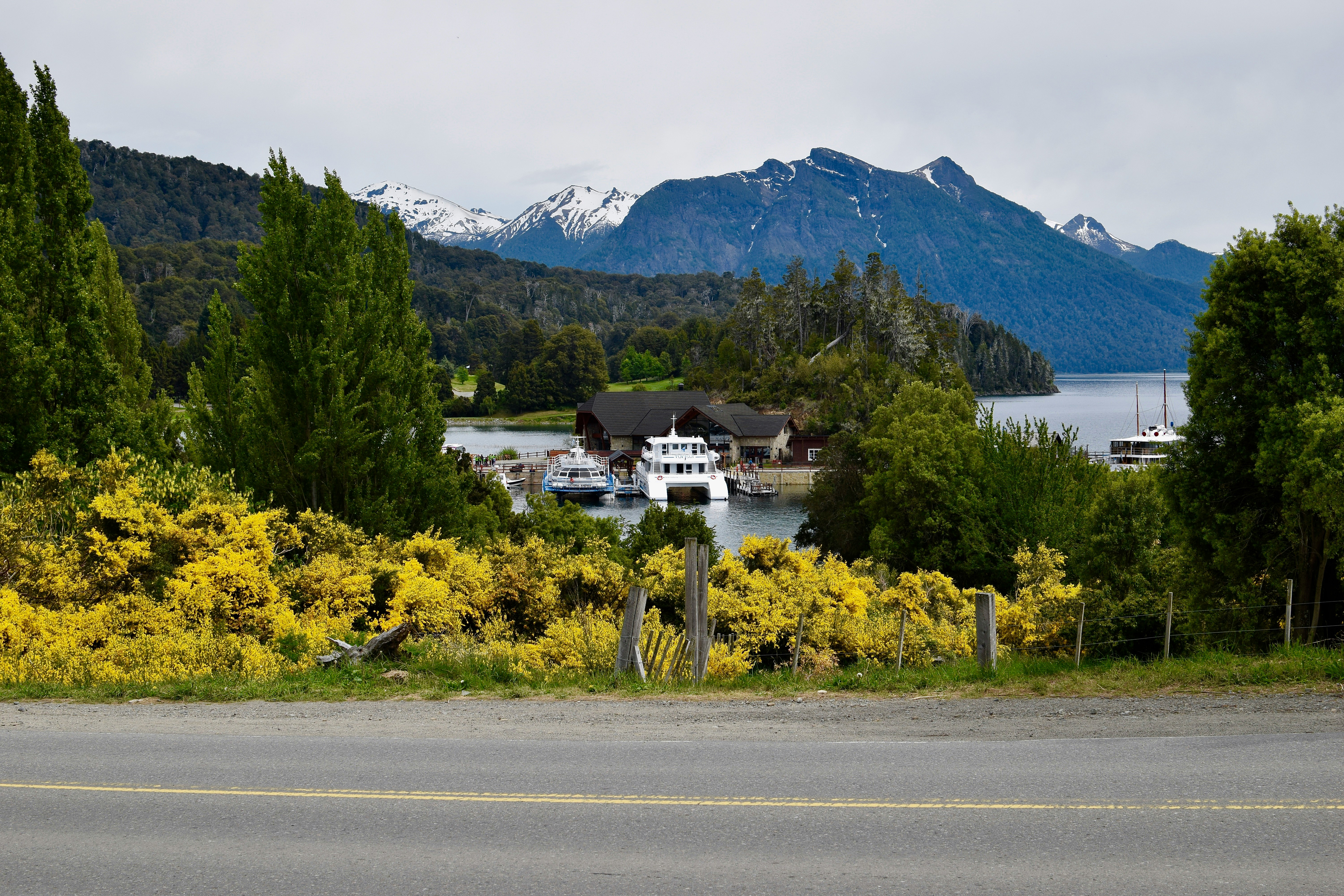 Quiet road passes yellow flowering shrubs toward a lake and mountain town, with sharp peaks under gray clouds ahead.