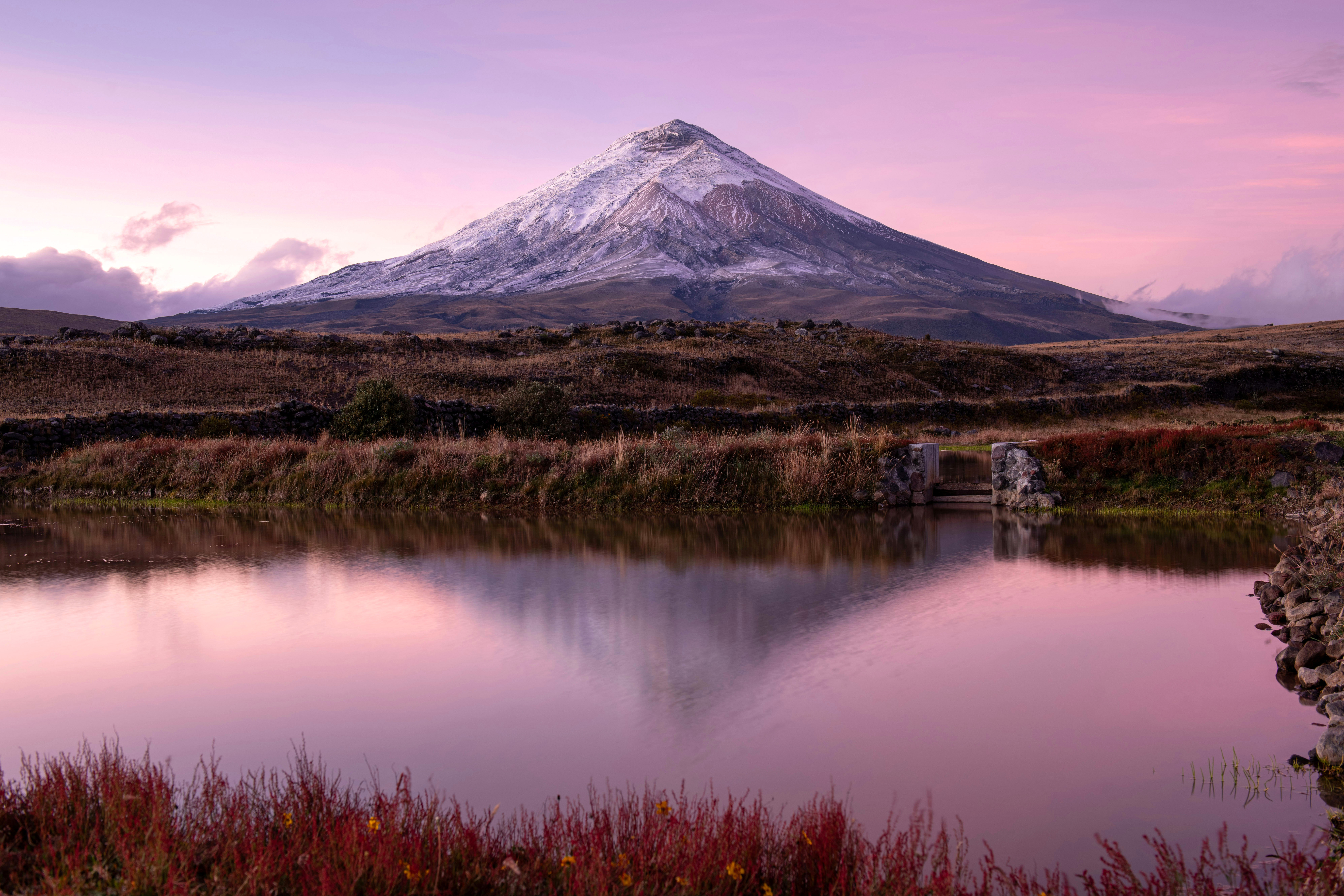 A volcano rises over a still lake reflecting pink sunset light, with reeds and grasses framing the waterline below it.