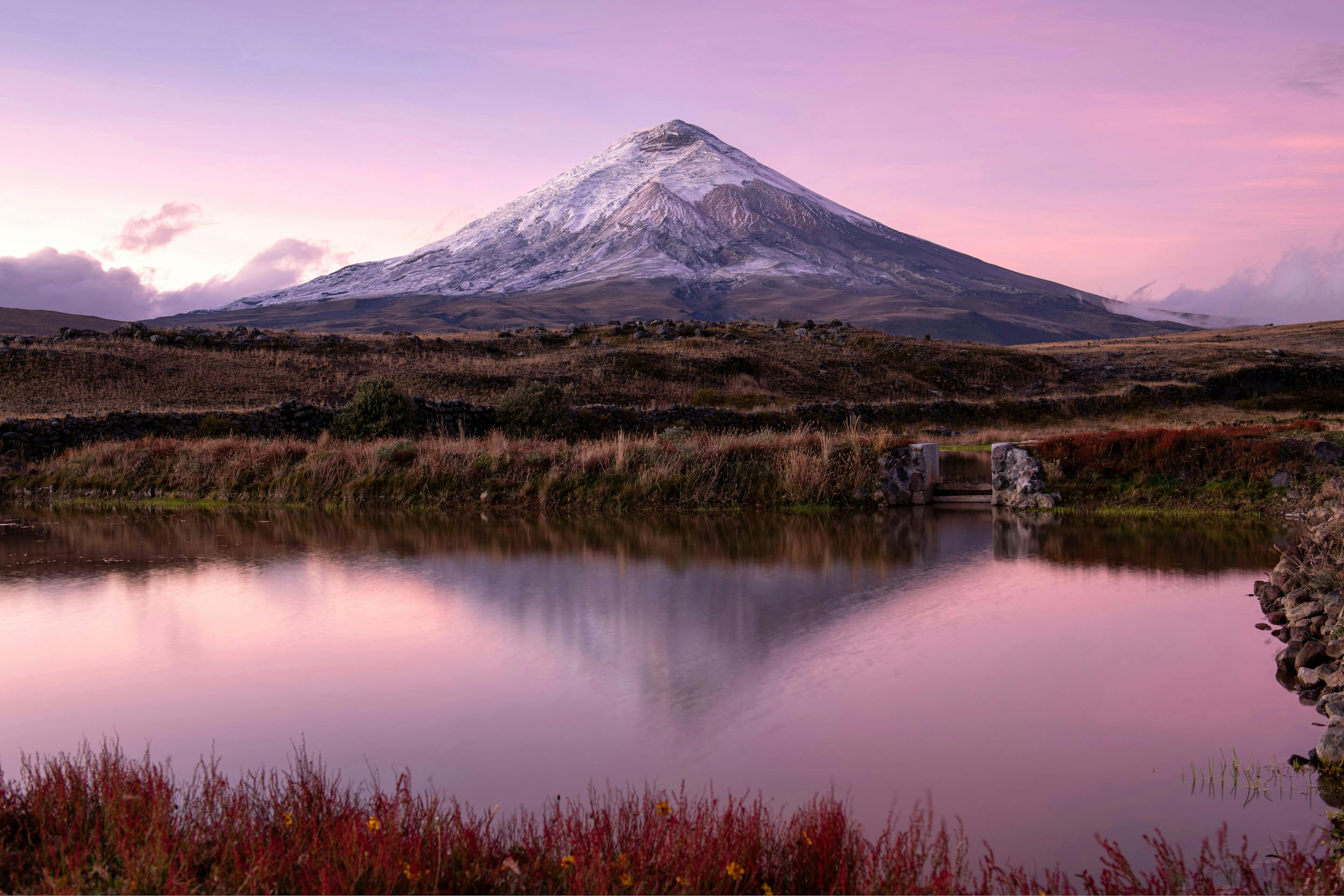 A volcano rises over a still lake reflecting pink sunset light, with reeds and grasses framing the waterline below it.