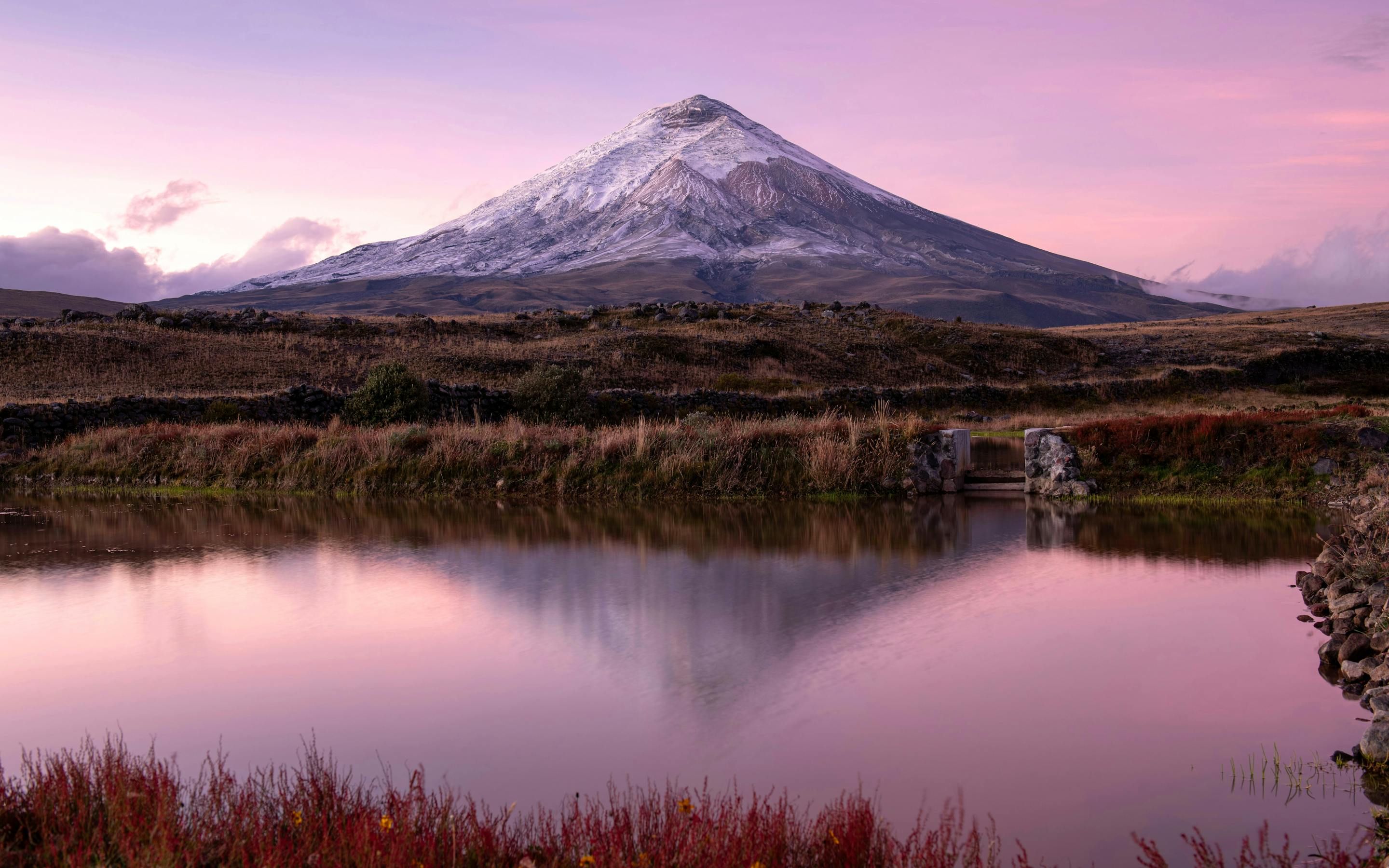 A volcano rises over a still lake reflecting pink sunset light, with reeds and grasses framing the waterline below it.