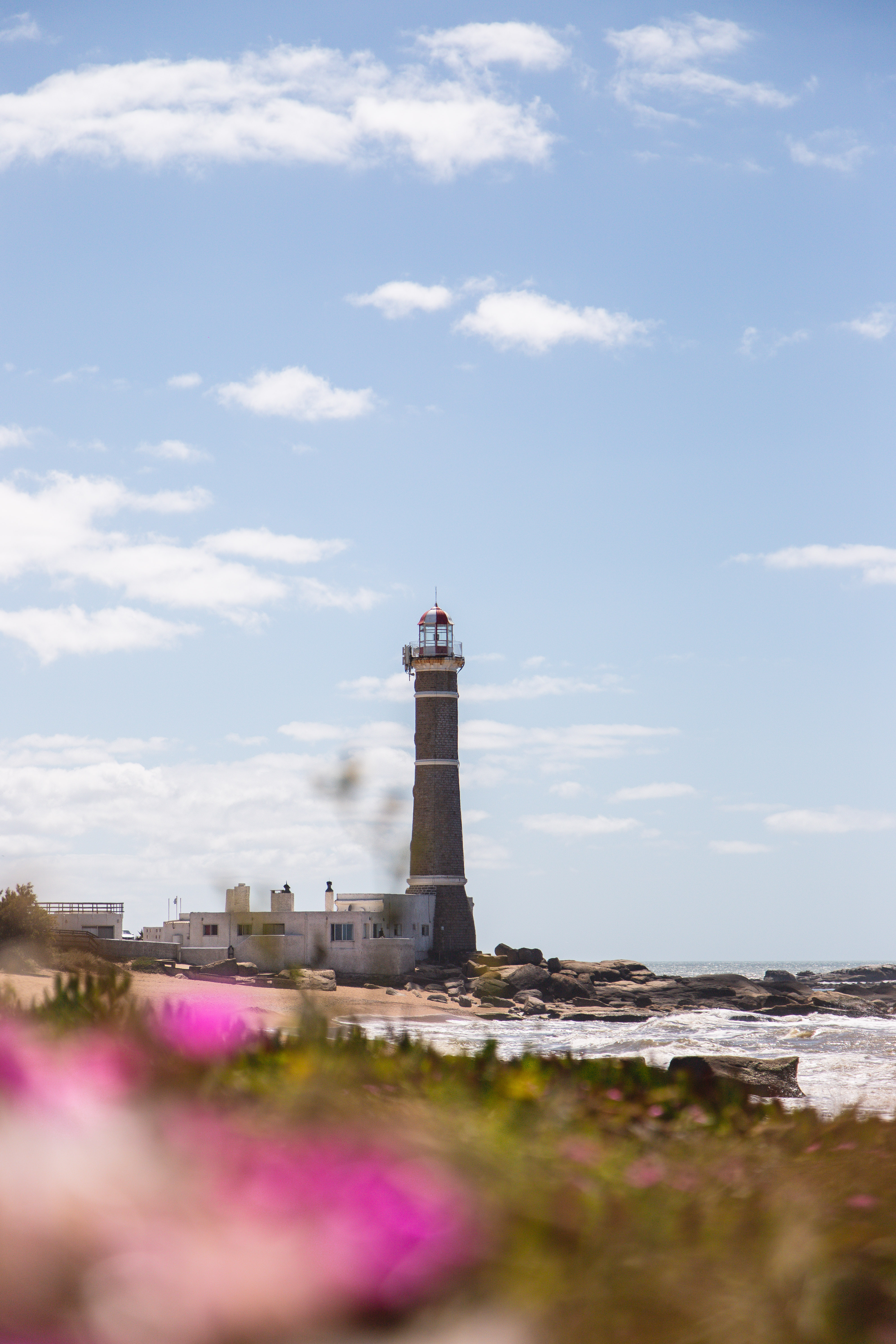 A lighthouse rises above a rocky shoreline, framed by pink flowers in the foreground and hazy blue sky behind.