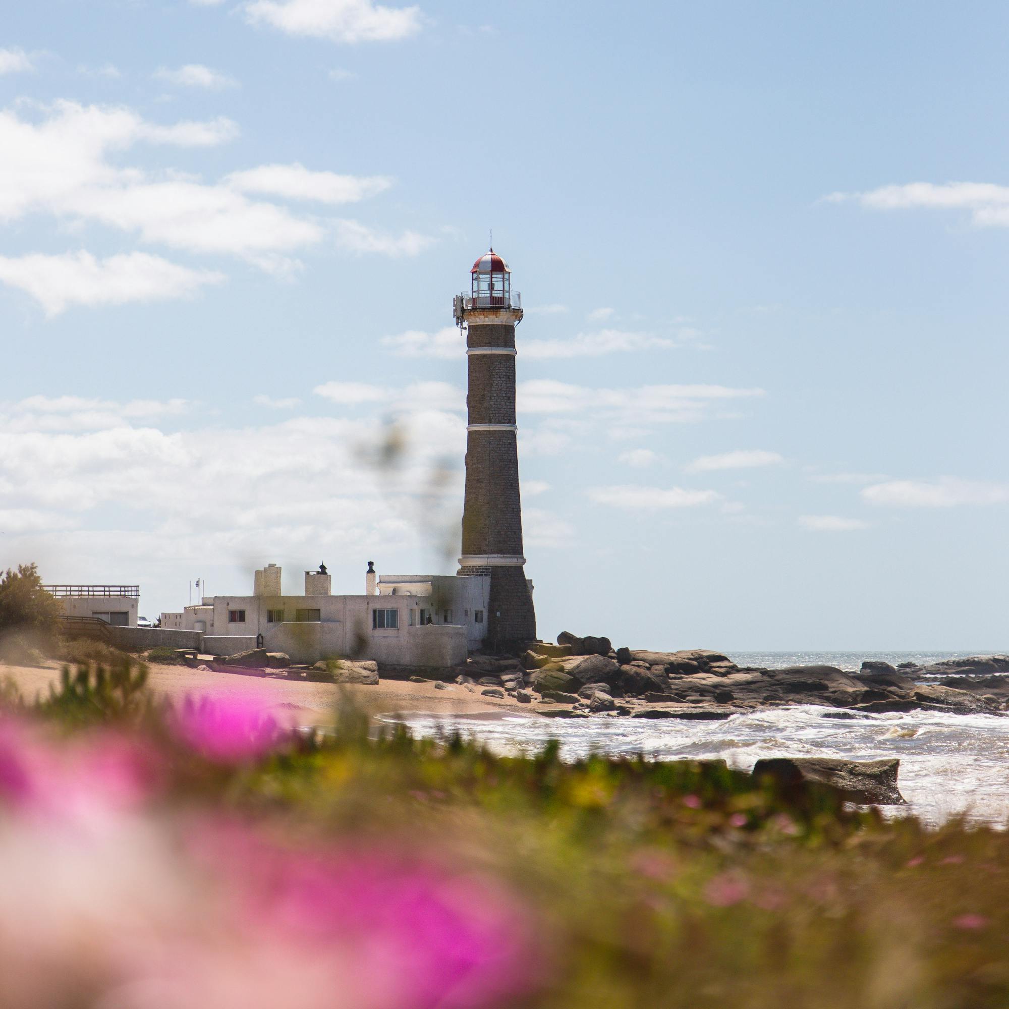 A lighthouse rises above a rocky shoreline, framed by pink flowers in the foreground and hazy blue sky behind.