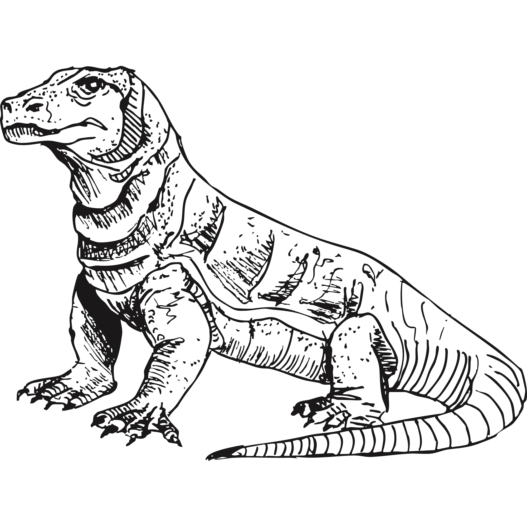 Sketch of a Komodo dragon.