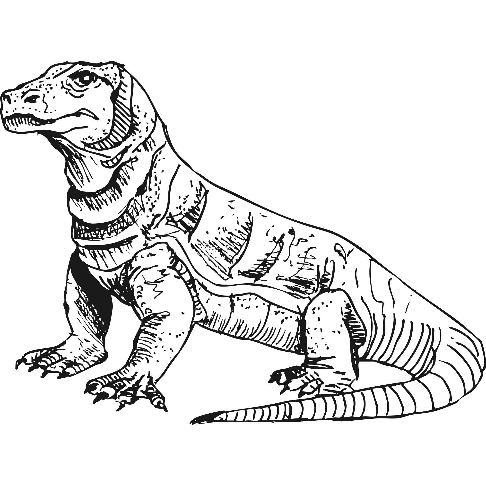 Sketch of a Komodo dragon.