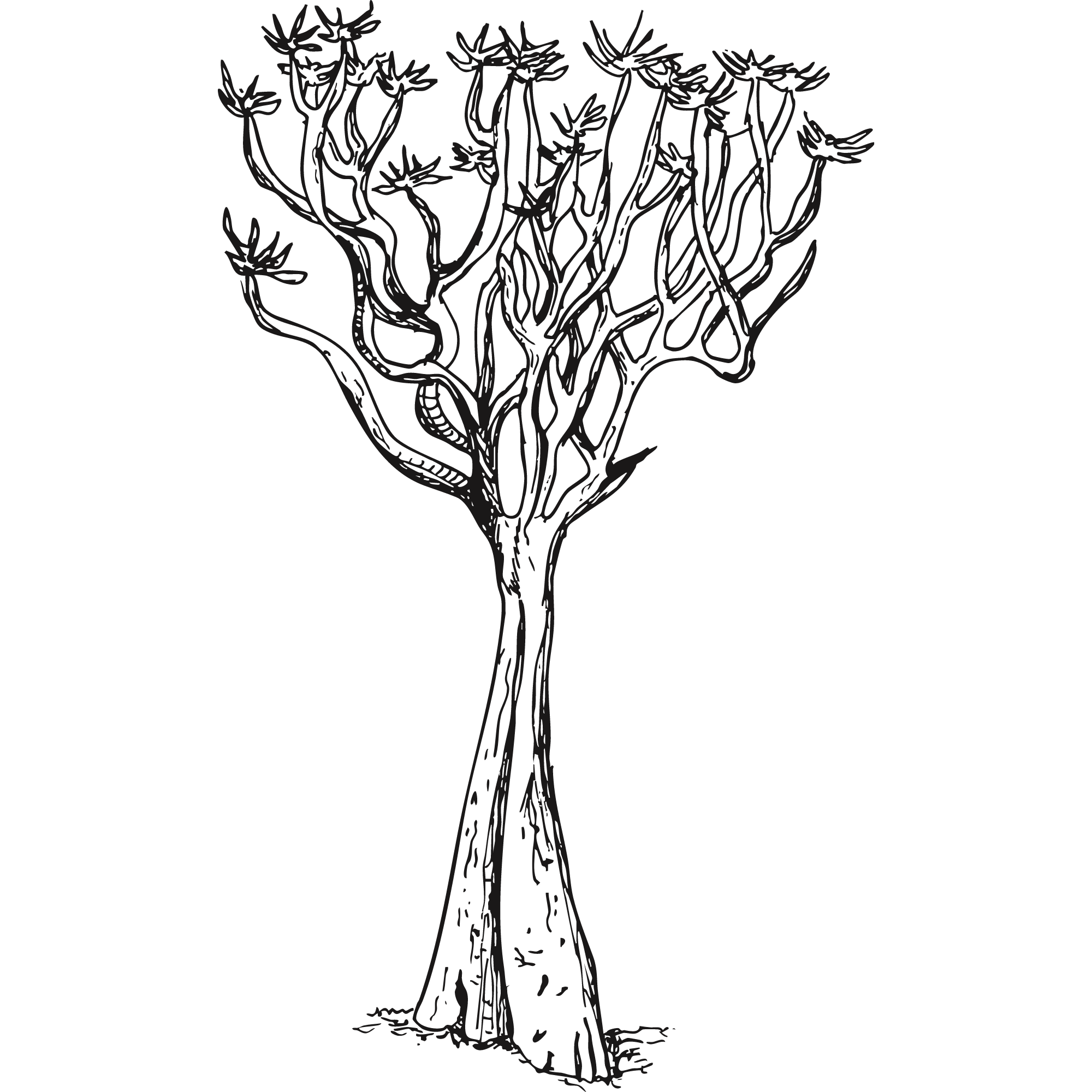 Sketch of a Quiver tree.