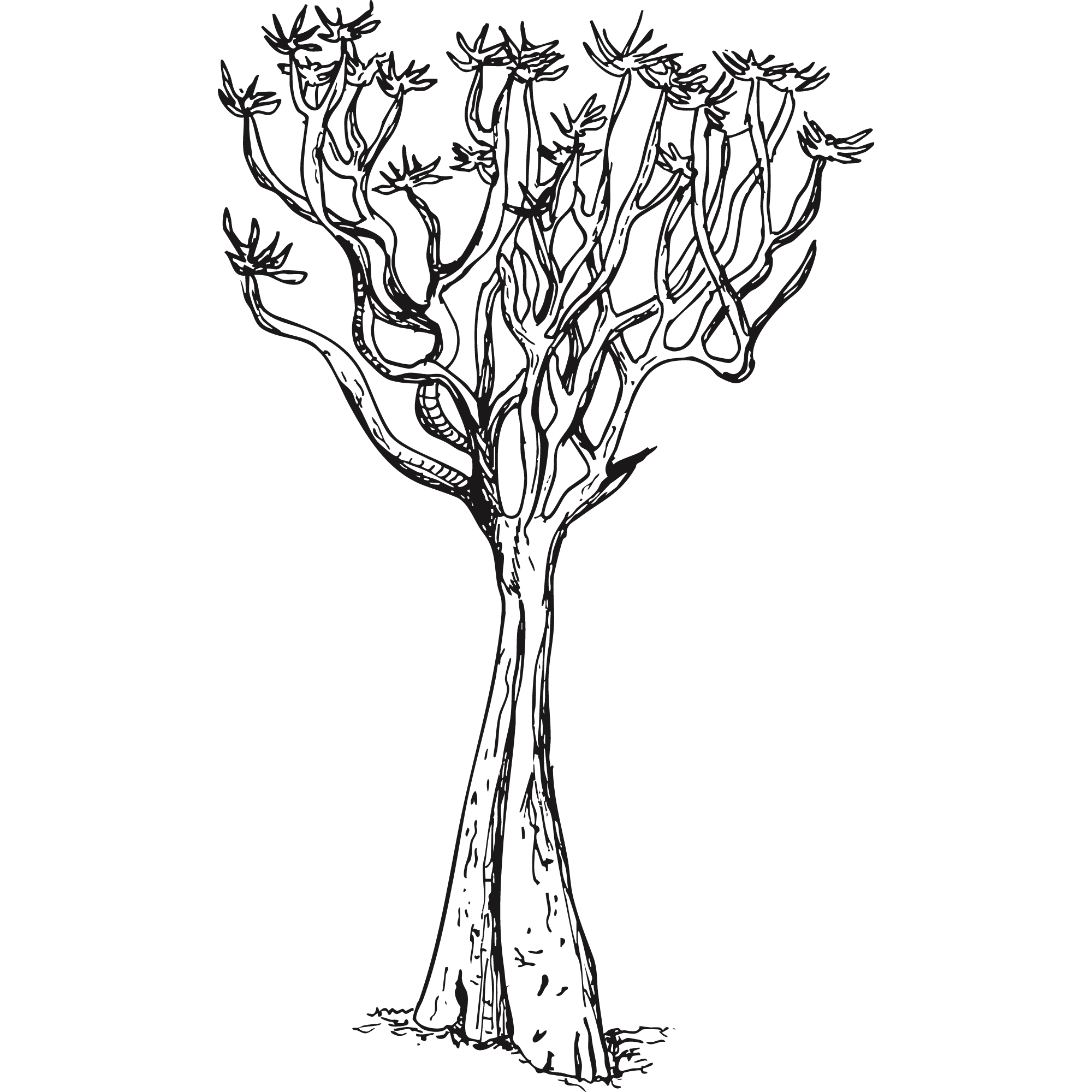 Sketch of a Quiver tree.