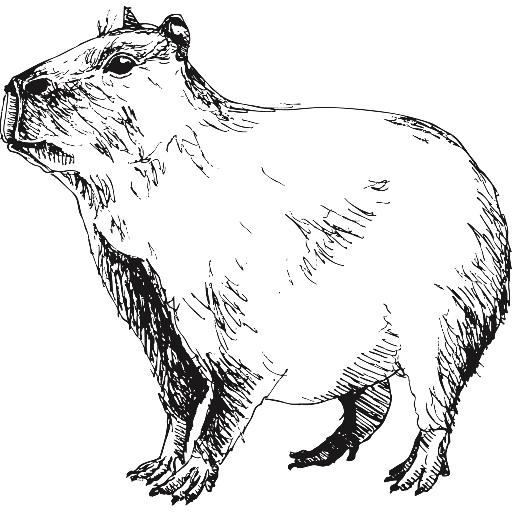 Uruguay Luxury Tours | Extraordinary Journeys