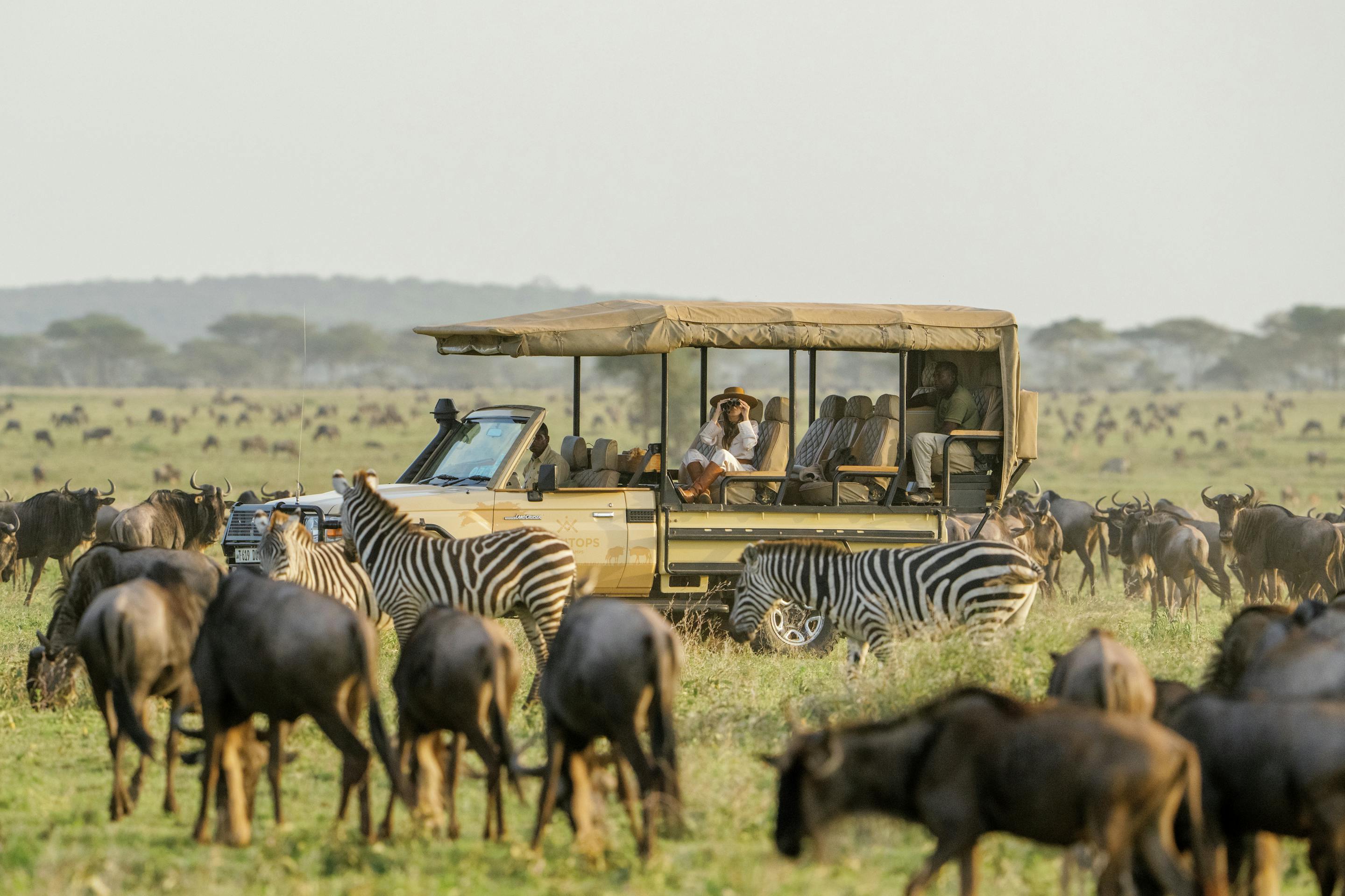 Zebras and wildebeest crowd the foreground while a safari vehicle watches from the plain, with low hills beyond.