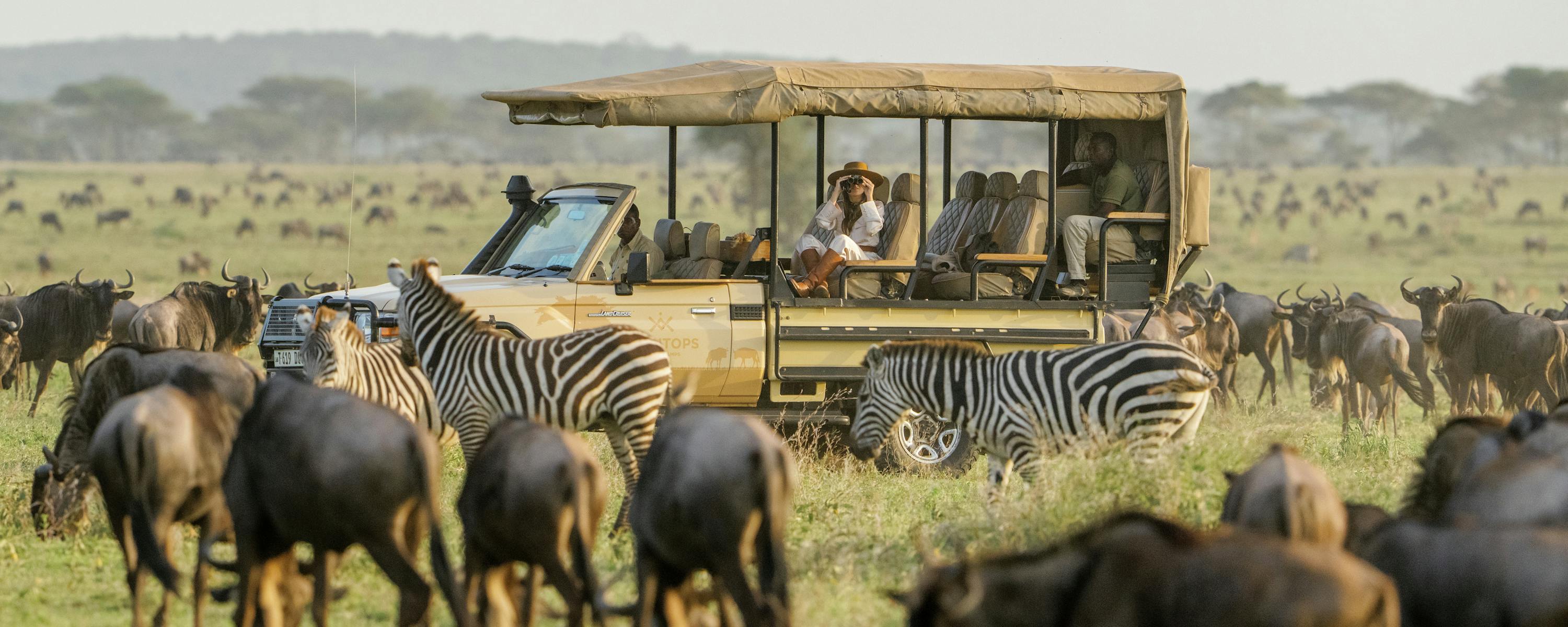 Zebras and wildebeest crowd the foreground while a safari vehicle watches from the plain, with low hills beyond.