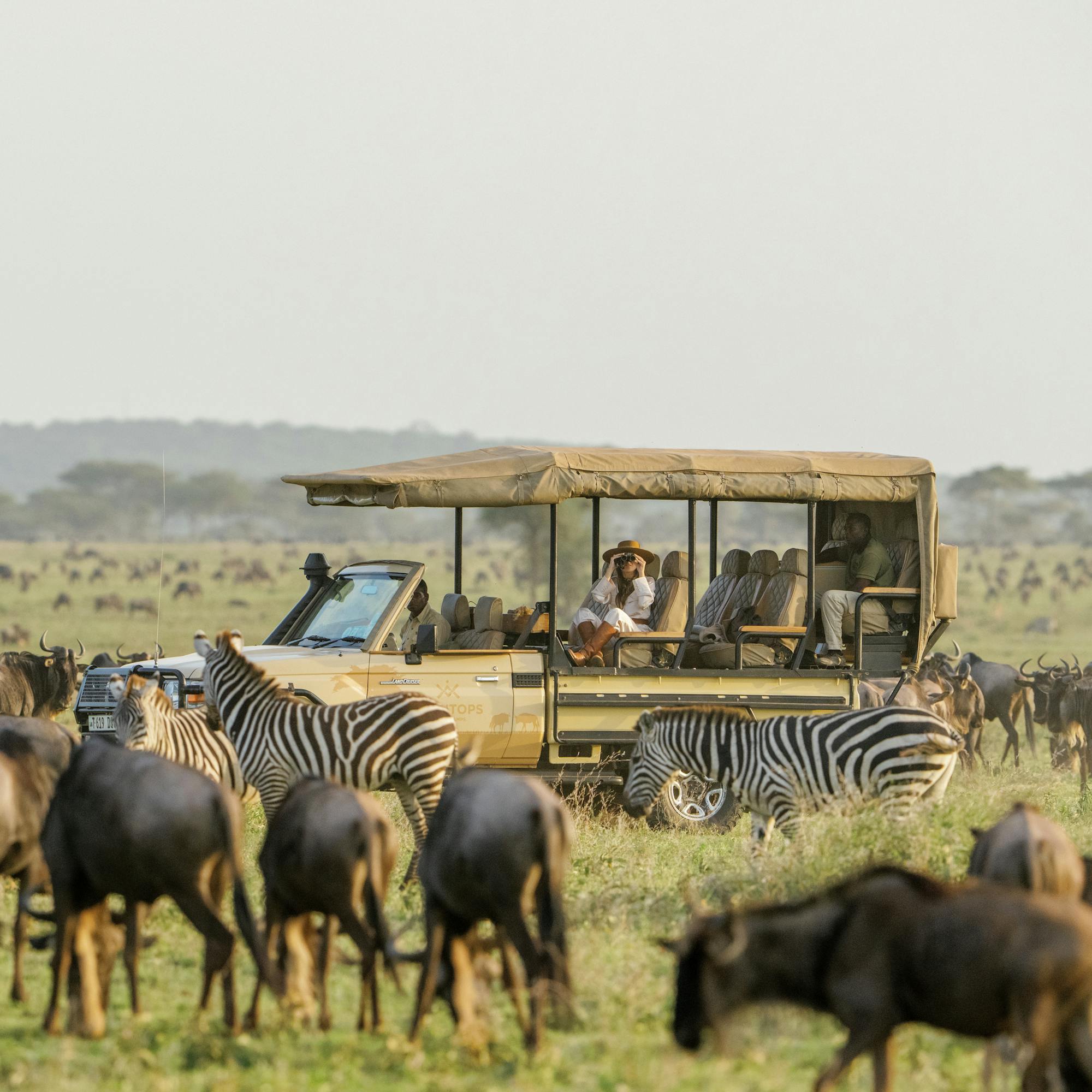 Zebras and wildebeest crowd the foreground while a safari vehicle watches from the plain, with low hills beyond.