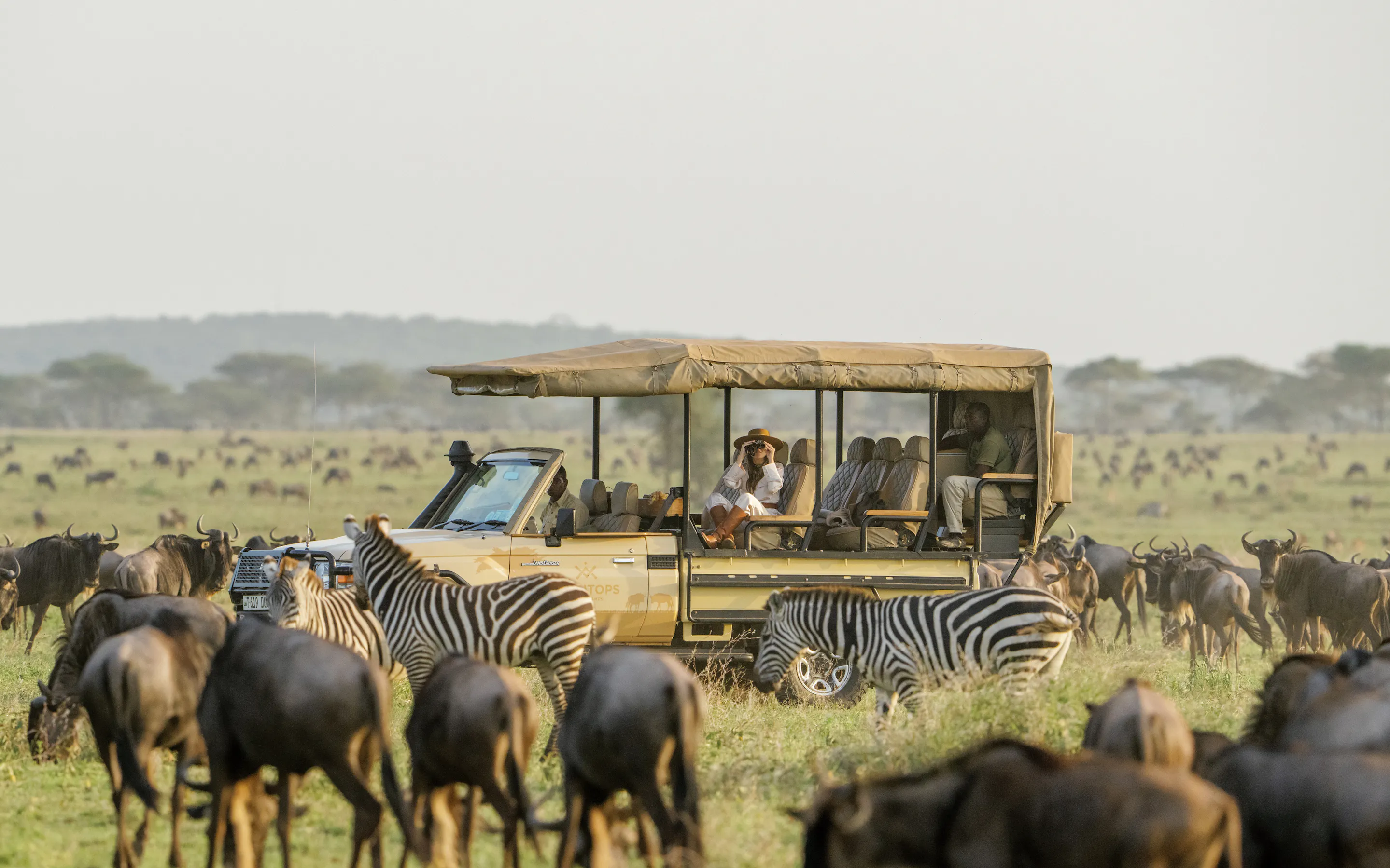 Zebras and wildebeest crowd the foreground while a safari vehicle watches from the plain, with low hills beyond.