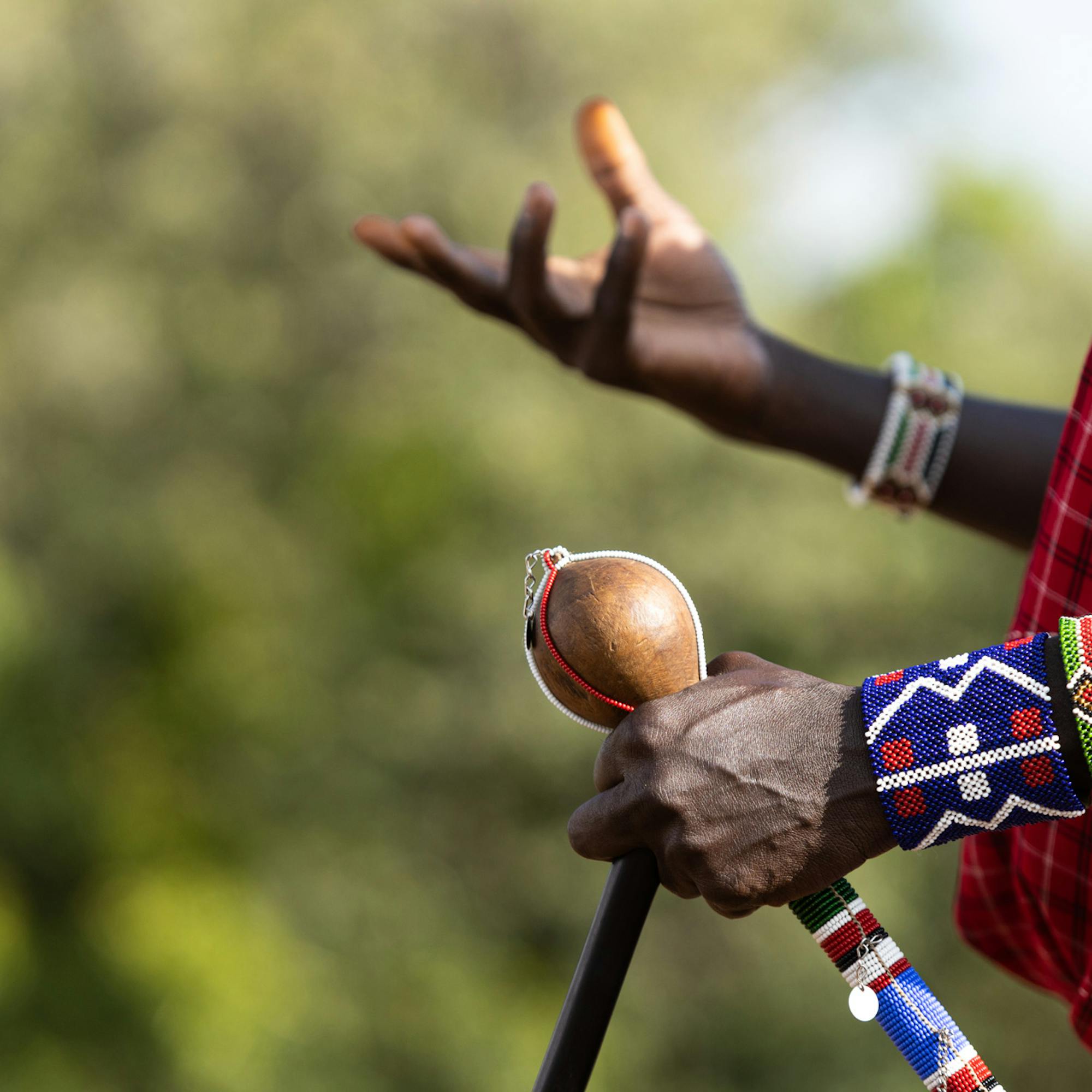 Hands with beaded bracelets hold a walking stick and handheld rattle, with red cloth visible against green bokeh.