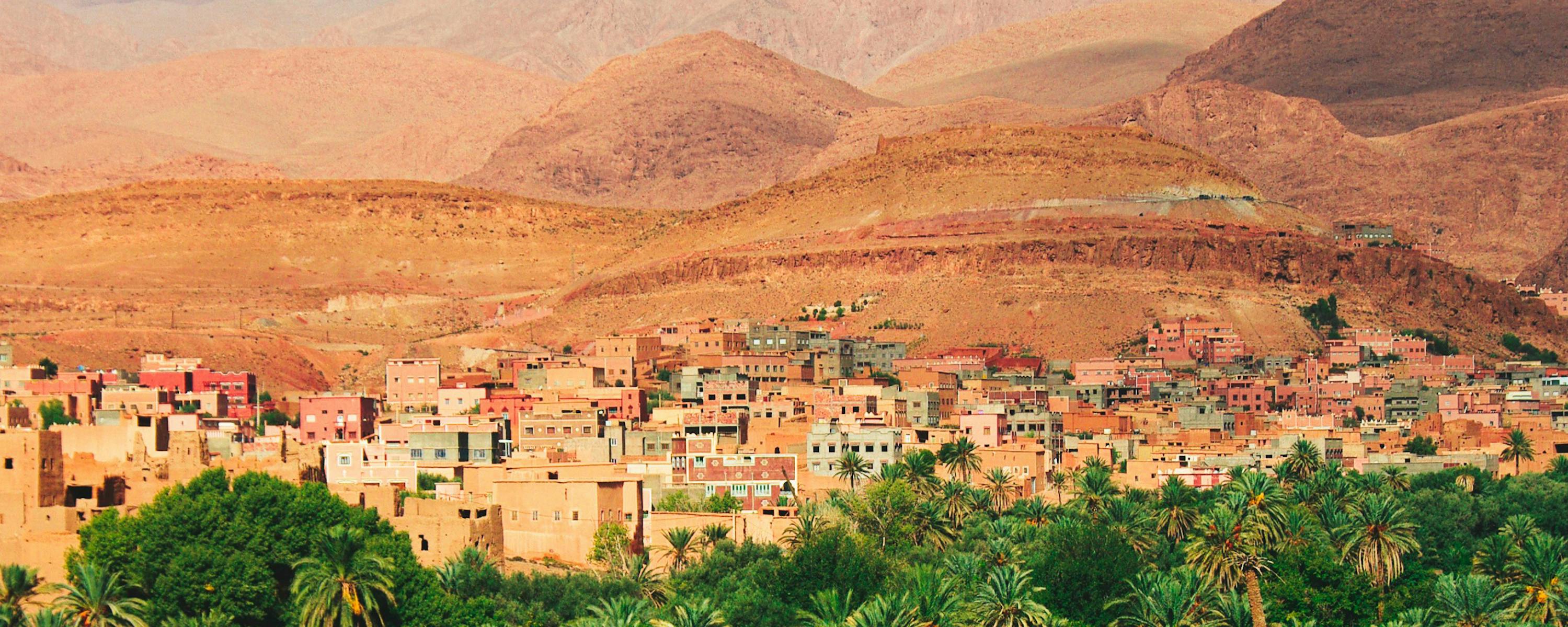 Palm grove with clustered buildings and distant hills under a blue sky.