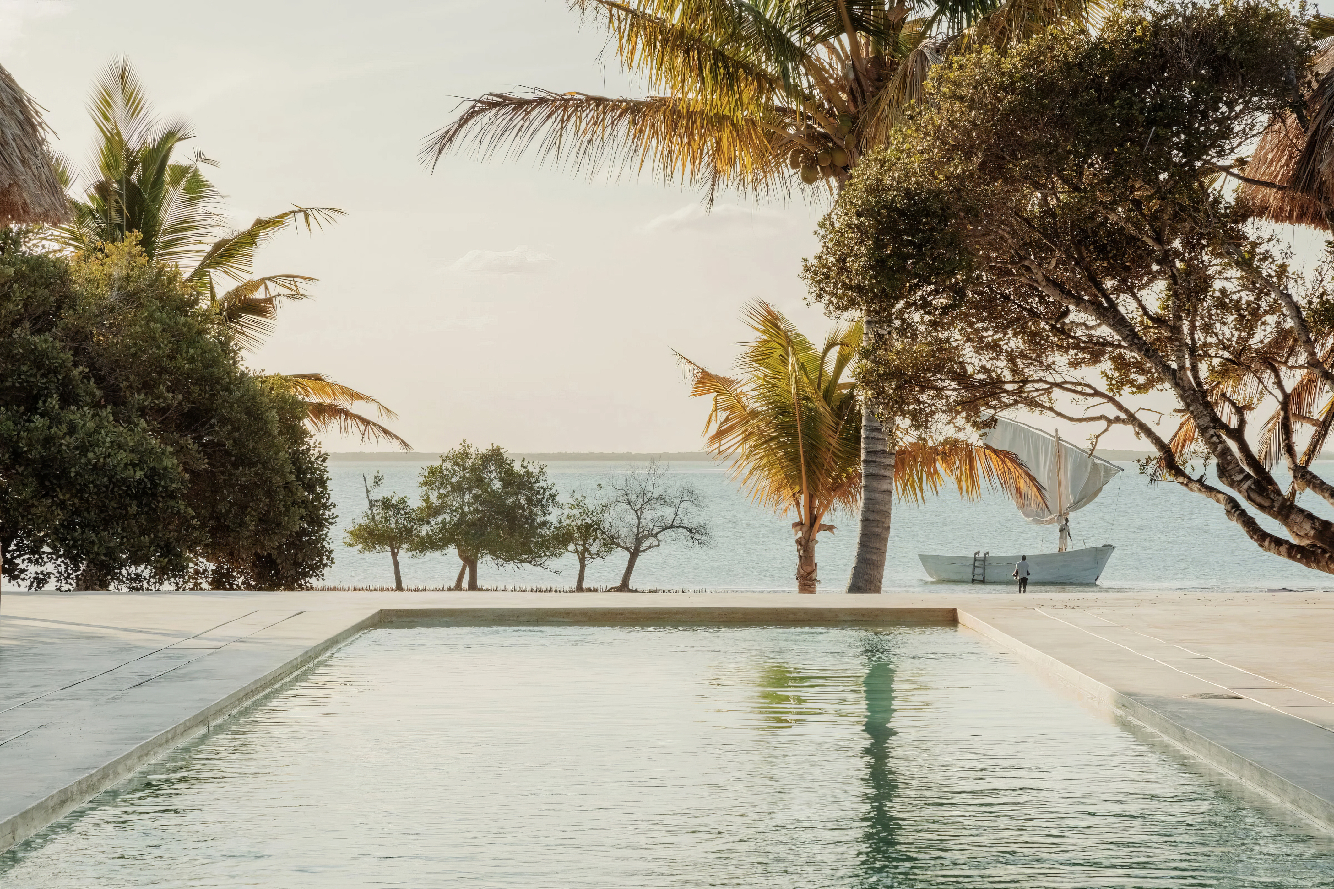 Rectangular infinity pool faces a calm ocean, framed by palm trees and a stone deck in soft morning light.