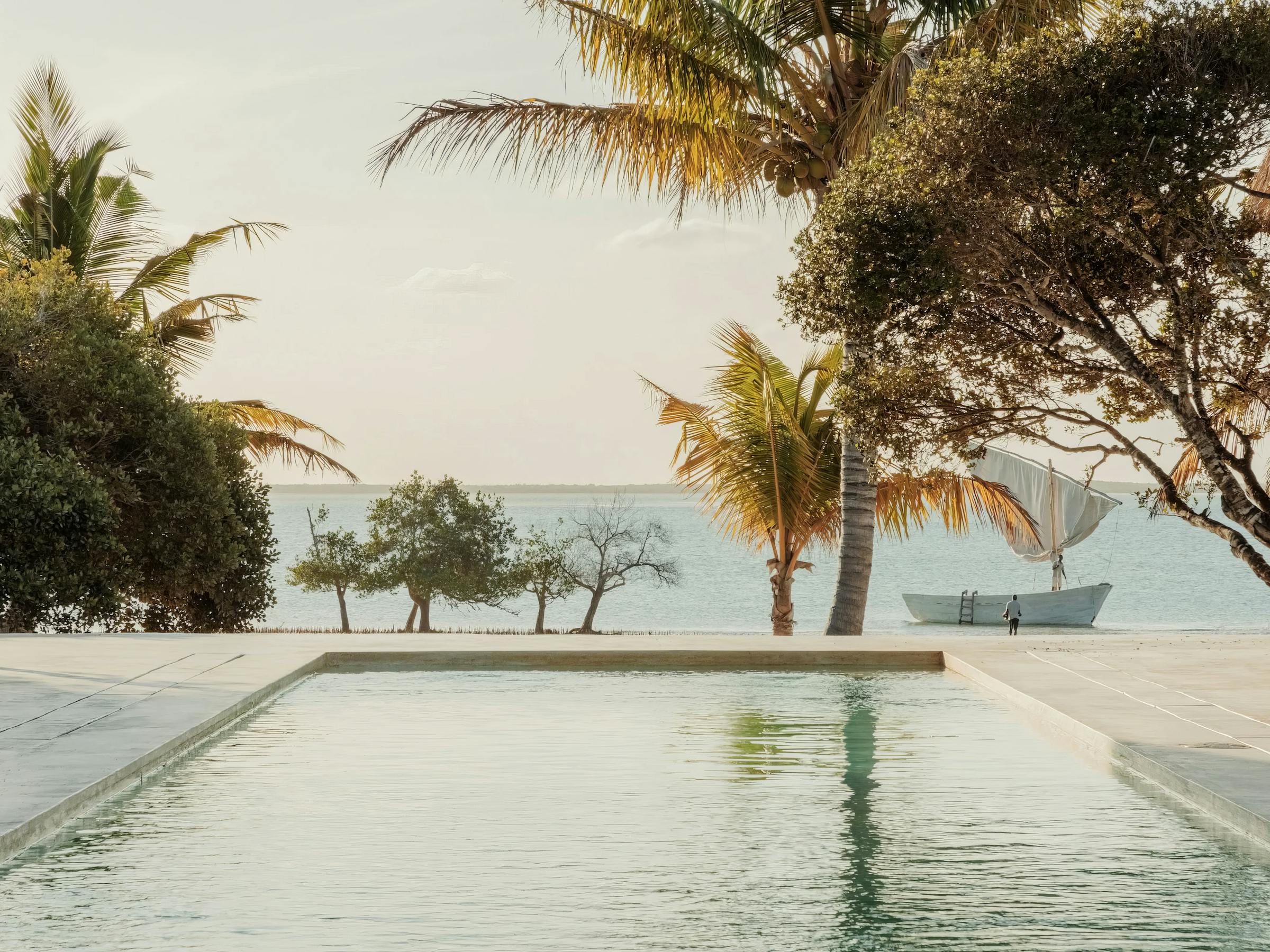 Rectangular infinity pool faces a calm ocean, framed by palm trees and a stone deck in soft morning light.