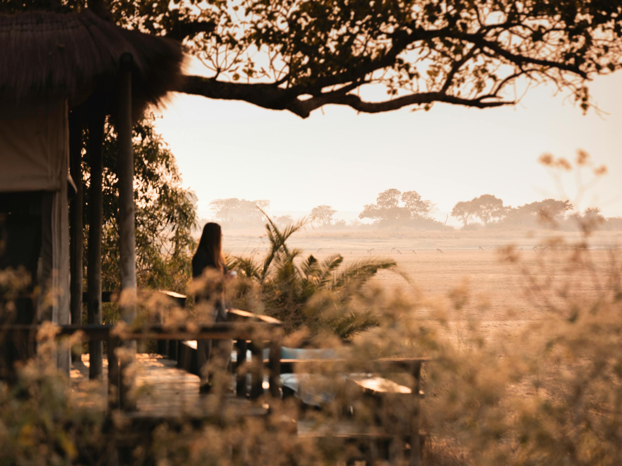 Deck chairs beside a safari tent overlook golden grassland at sunrise, with a person silhouetted in the shade.