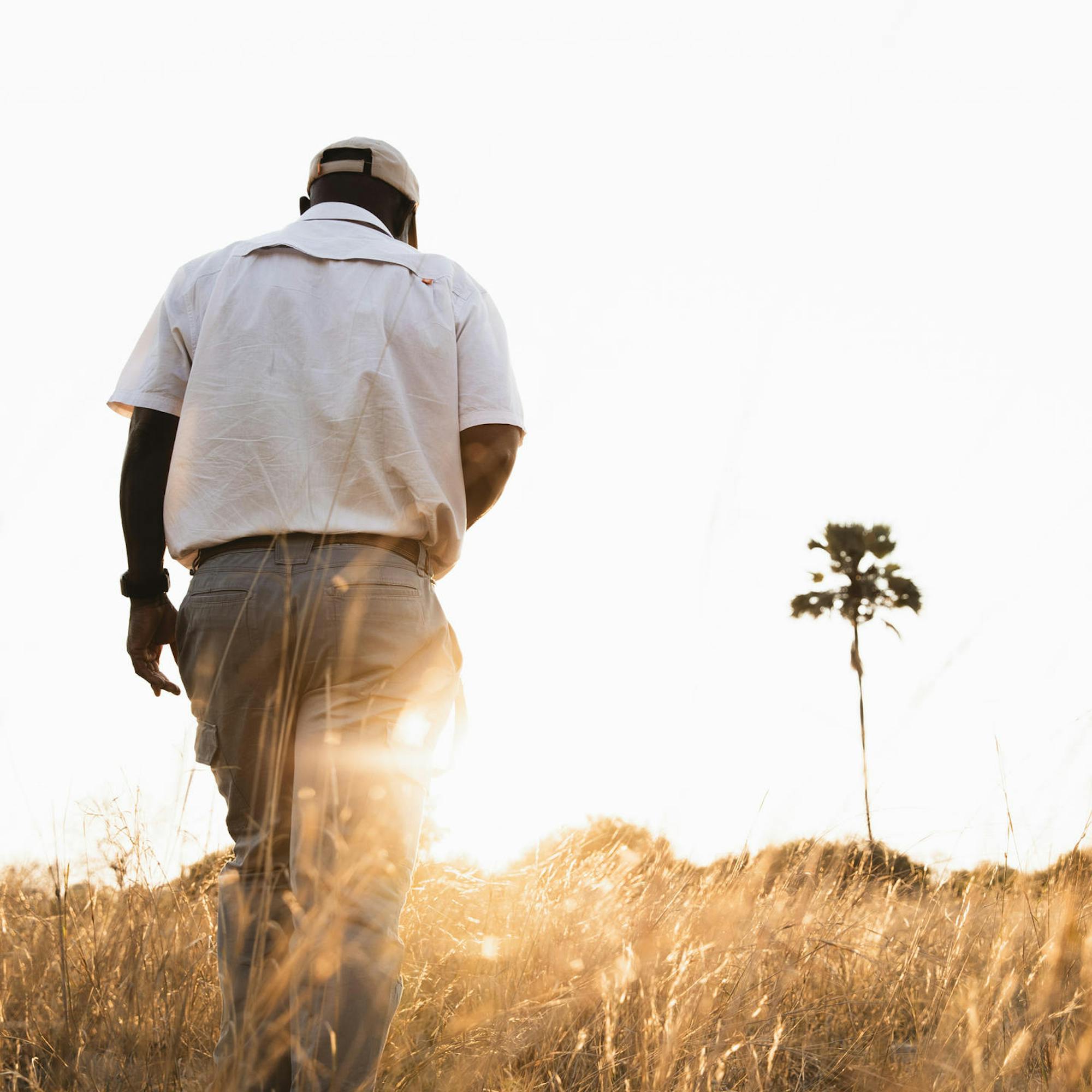 A person walks through tall golden grass with the low sun behind them, casting long shadows across the field.