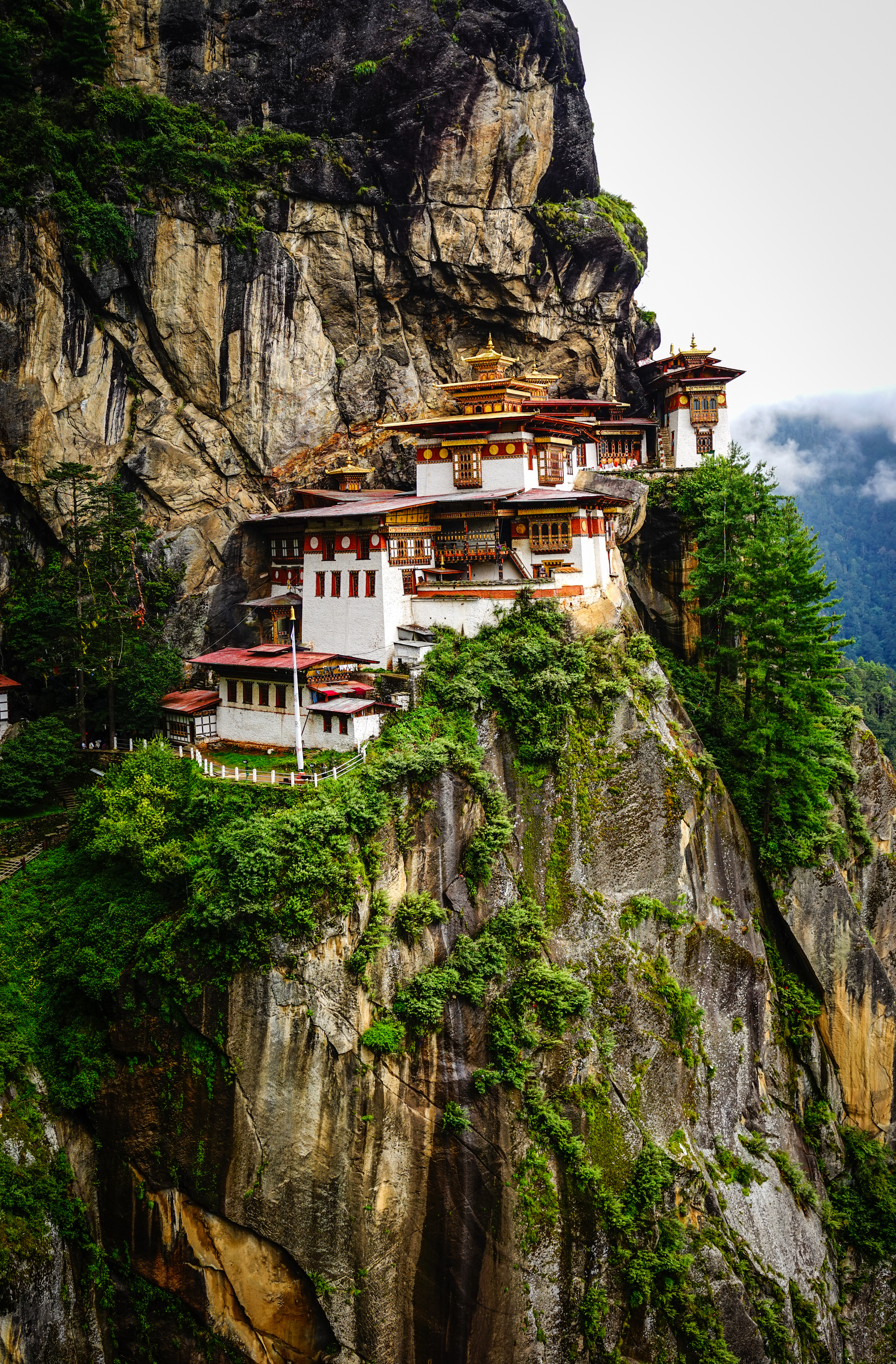 Monastery buildings cling to a steep cliff surrounded by green forest.
