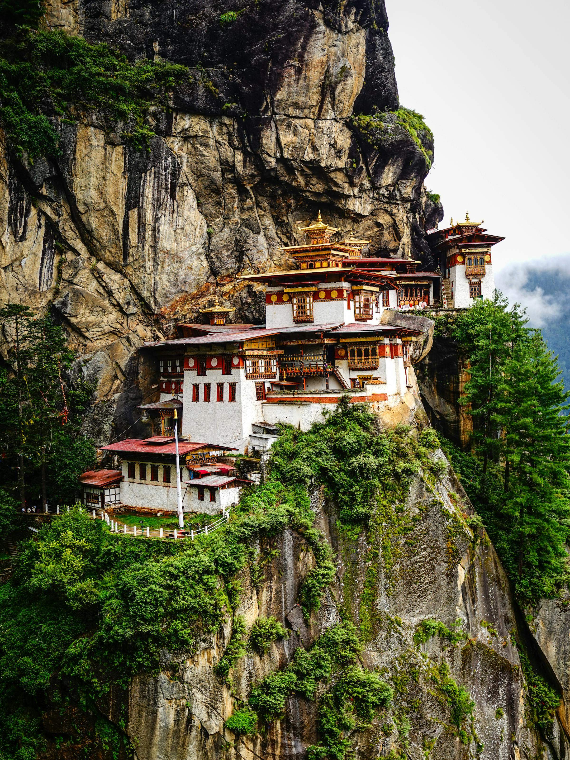 Monastery buildings cling to a steep cliff surrounded by green forest.
