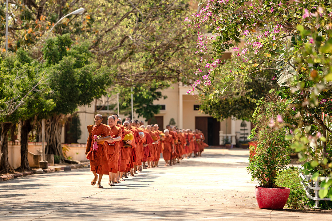 Line of people in orange robes walk along a shaded street lined with trees and flowers.