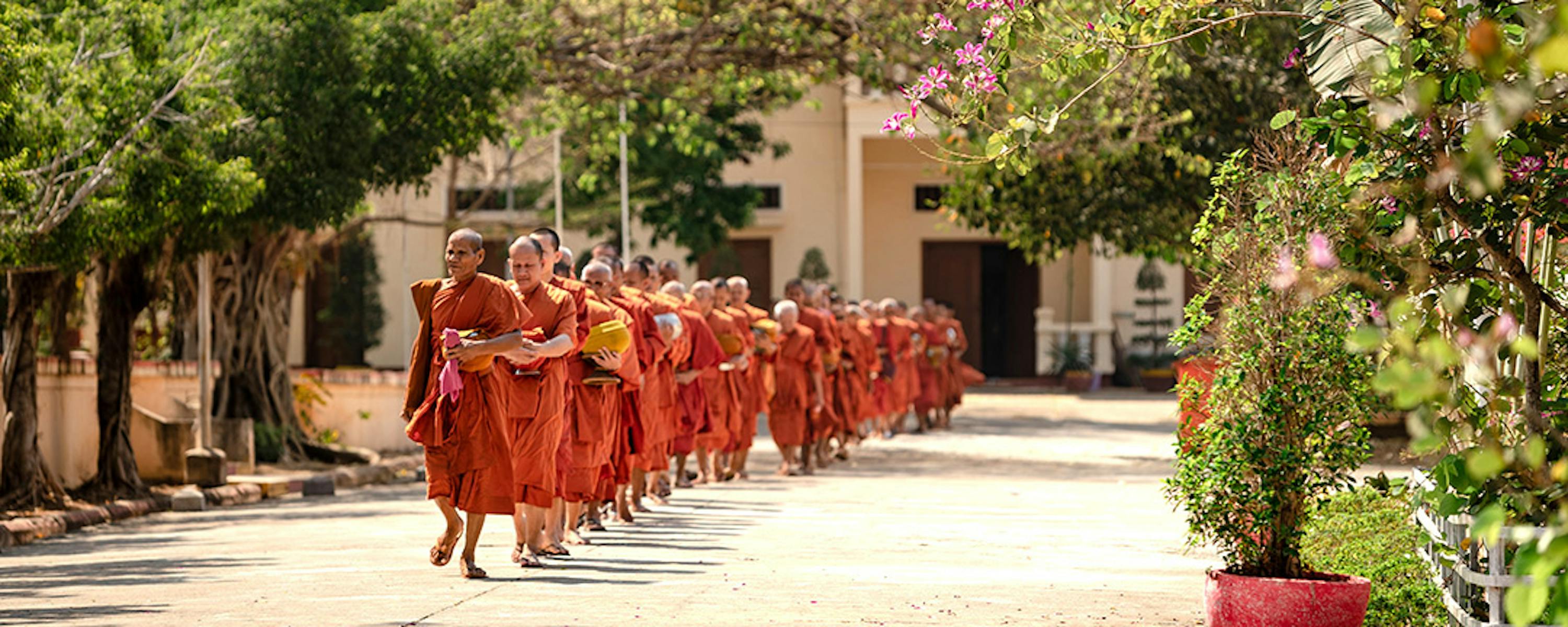 Line of people in orange robes walk along a shaded street lined with trees and flowers.