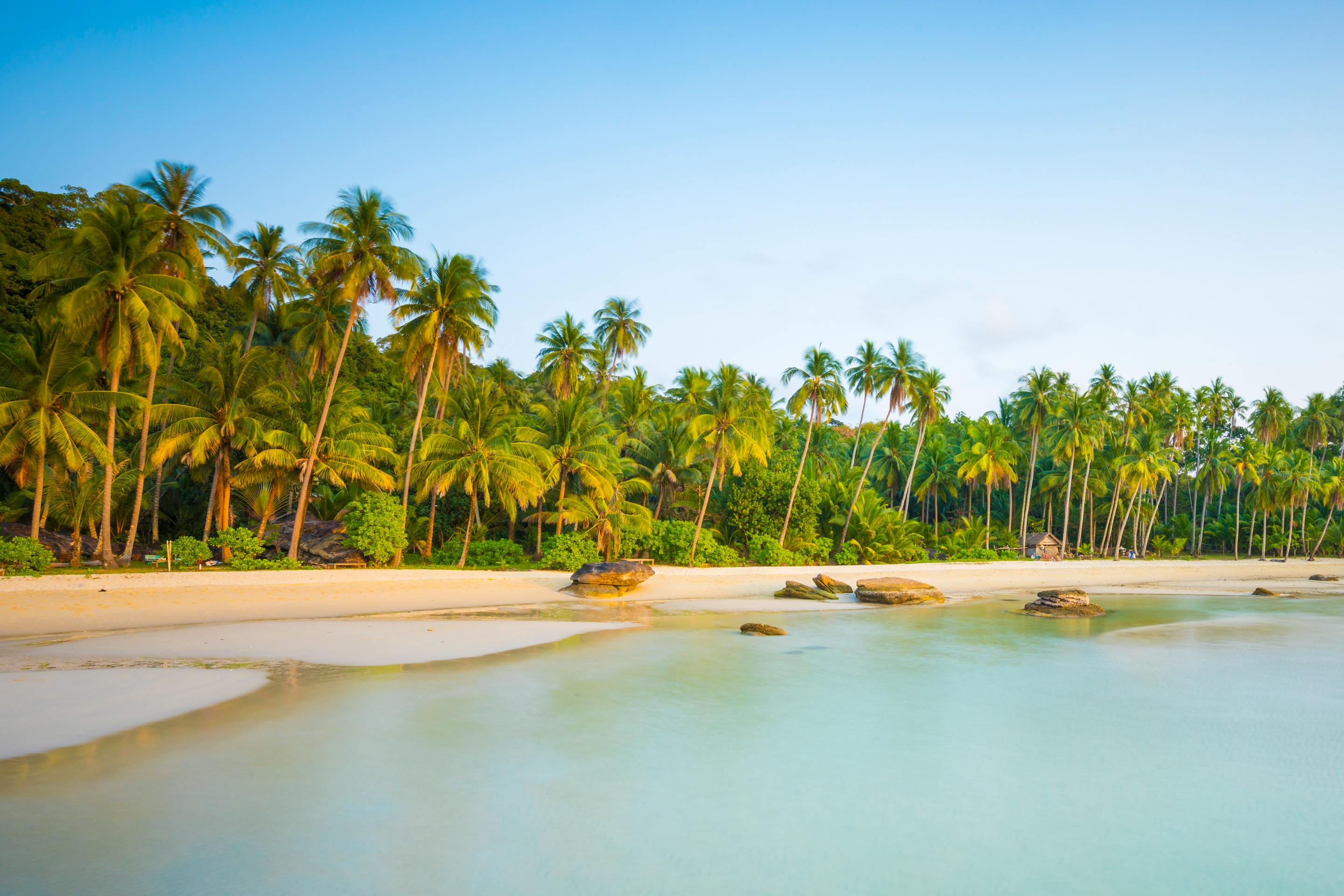 Palm trees line a calm tropical lagoon with pale sand and clear water.