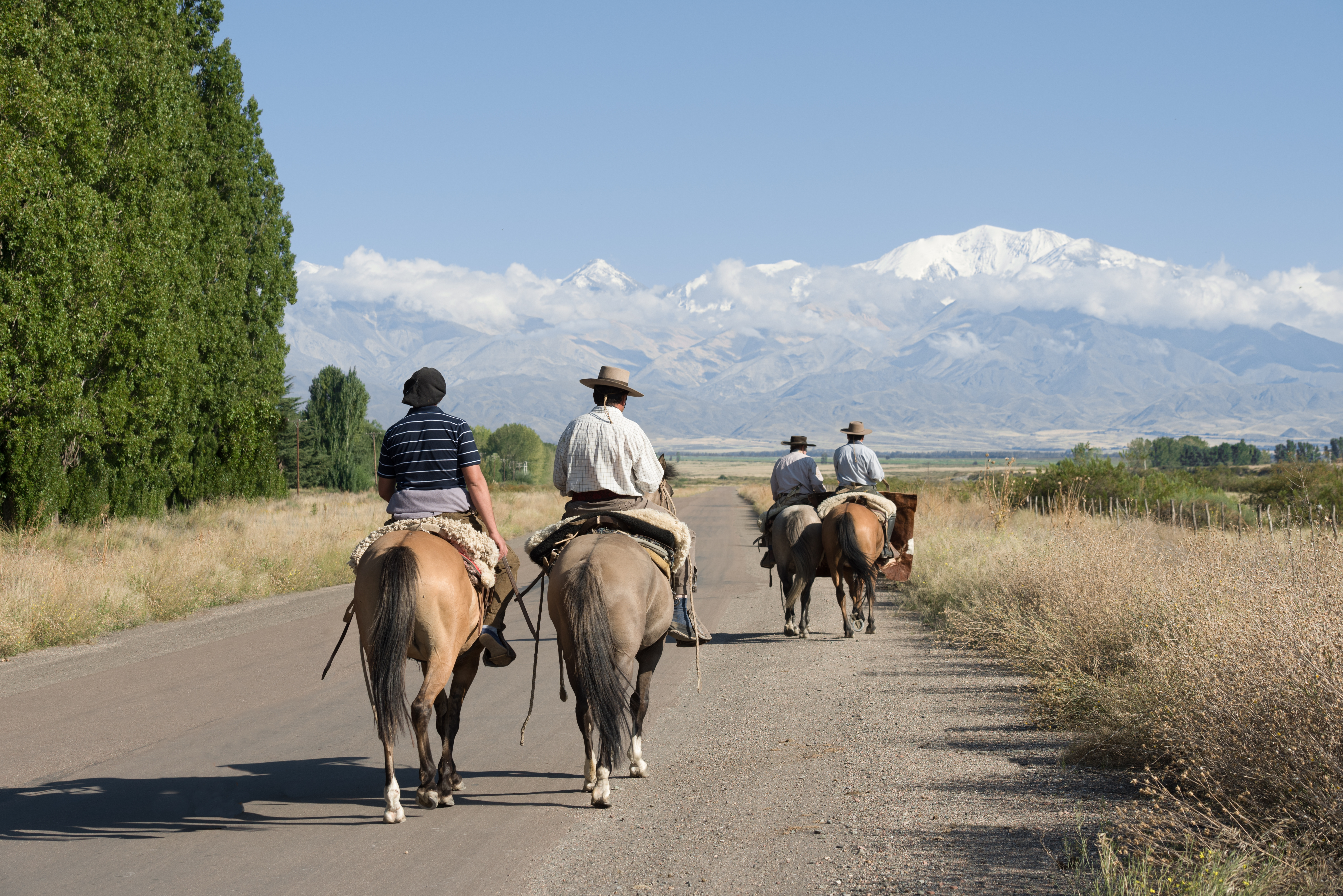 Group of horseback riders travels along a rural road with mountains in the distance.