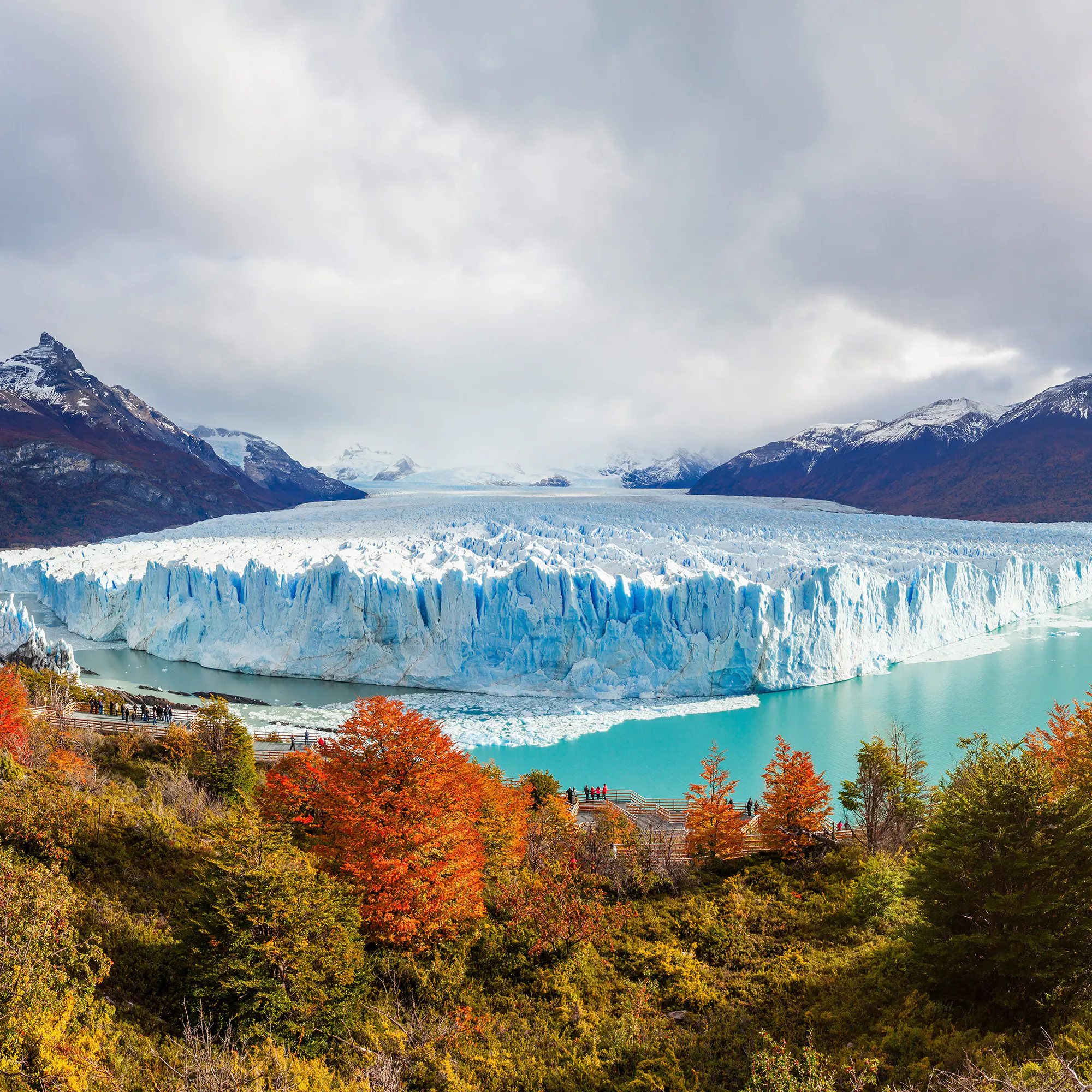 A bright blue glacier meets a turquoise lake, framed by autumn trees and mountains.