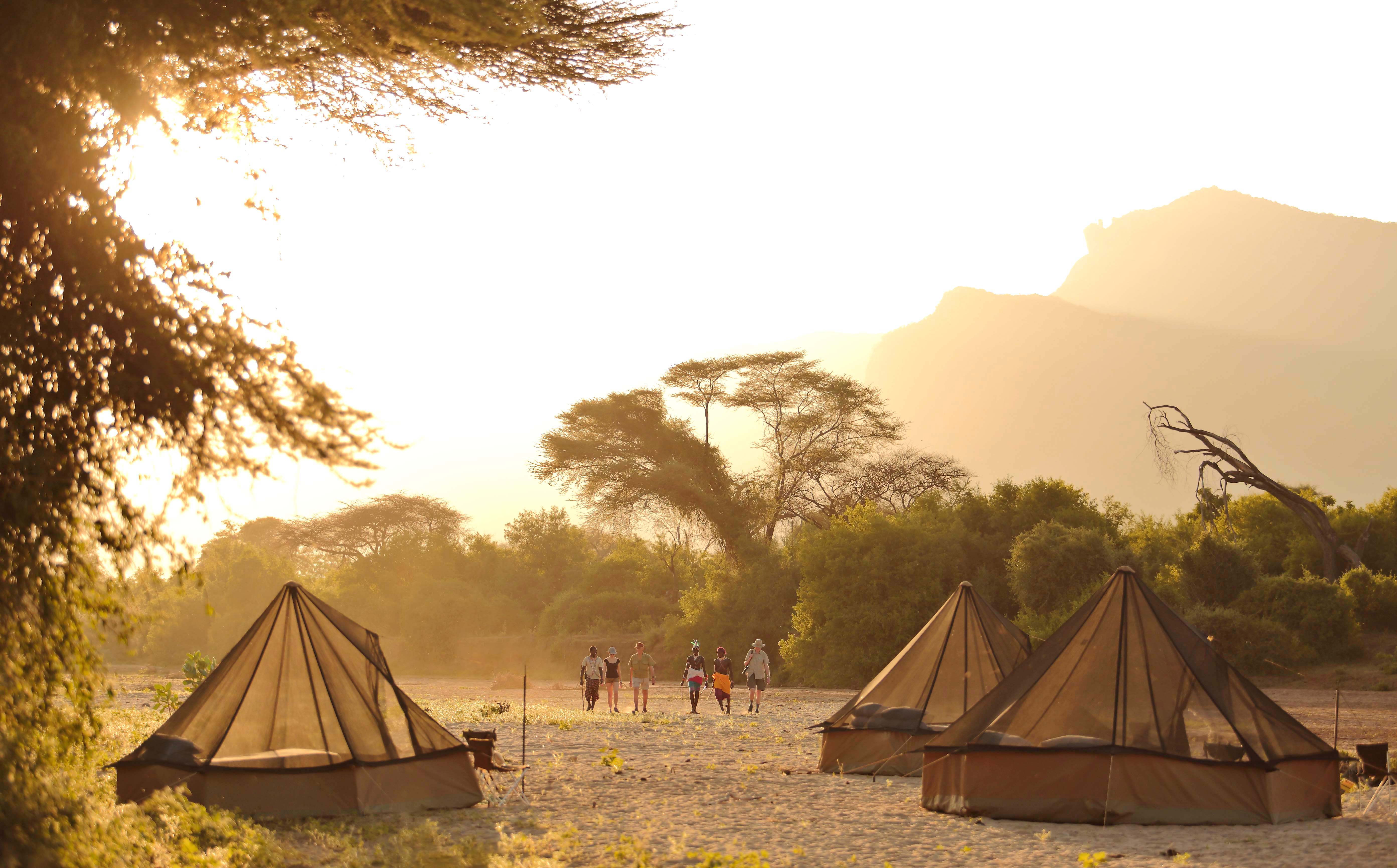 Canvas tents sit beneath acacia trees as golden morning light fills the camp, with hills and haze in the distance.