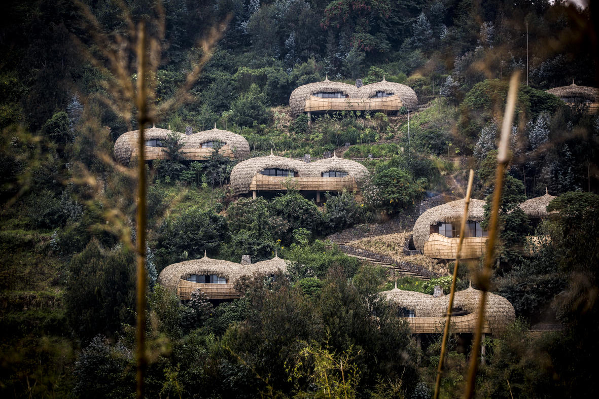Round thatched lodges dot a forested hillside, seen through tree trunks with soft evening light and deep green tones.