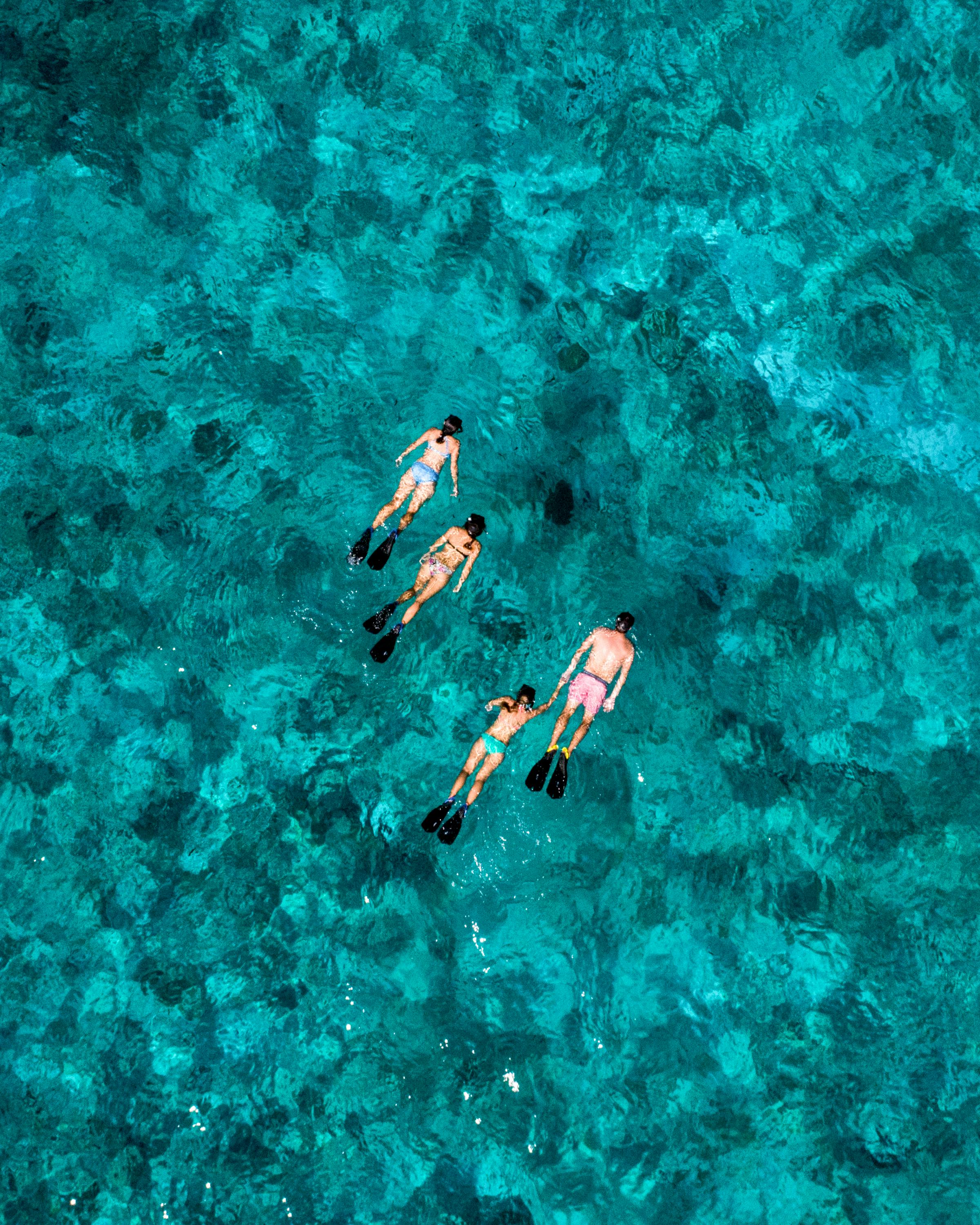 Aerial view of three snorkelers drifting over a turquoise reef, their fins bright against the mottled water.