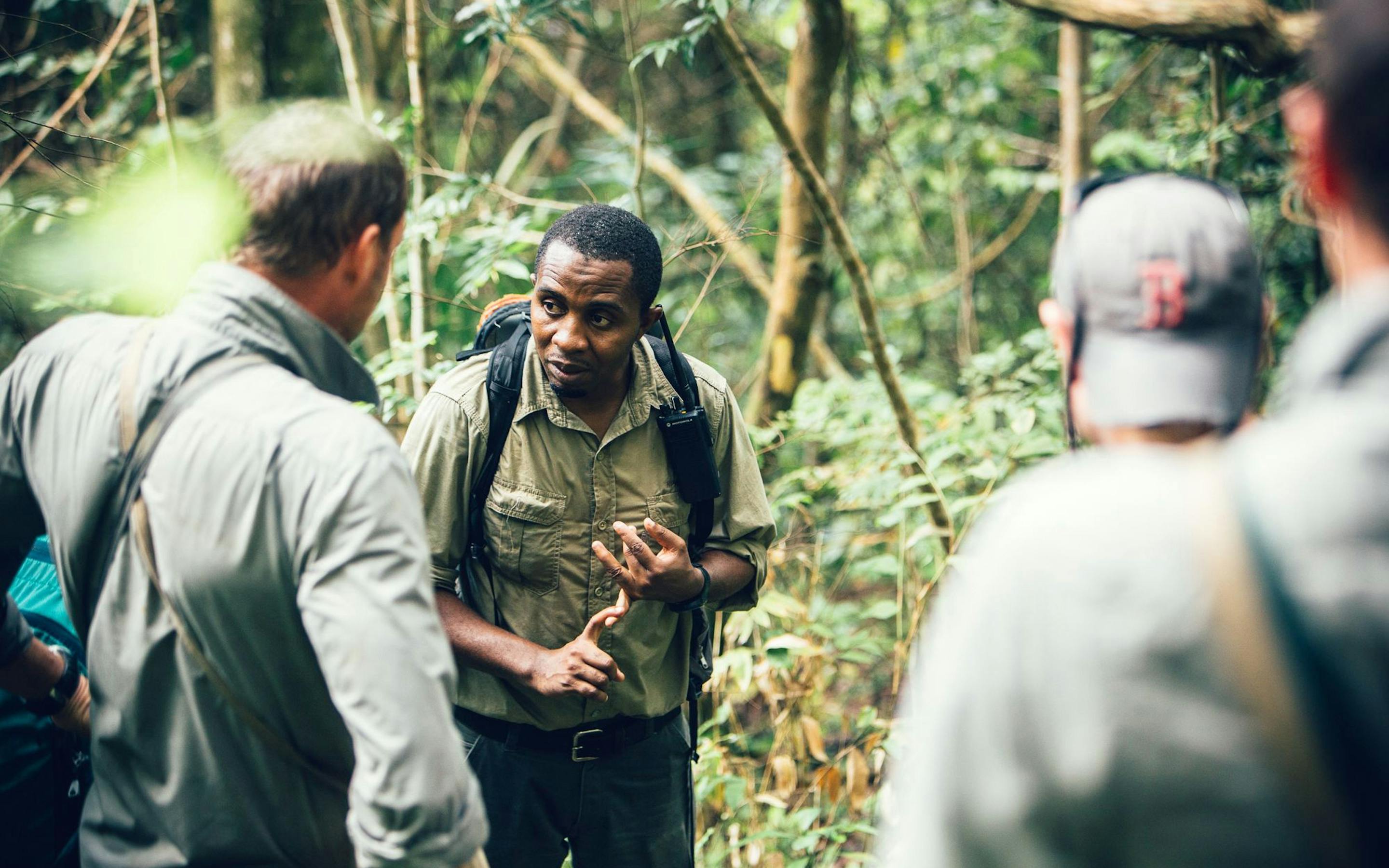 A small group talks on a narrow forest trail, one person gesturing while others listen among green leaves.
