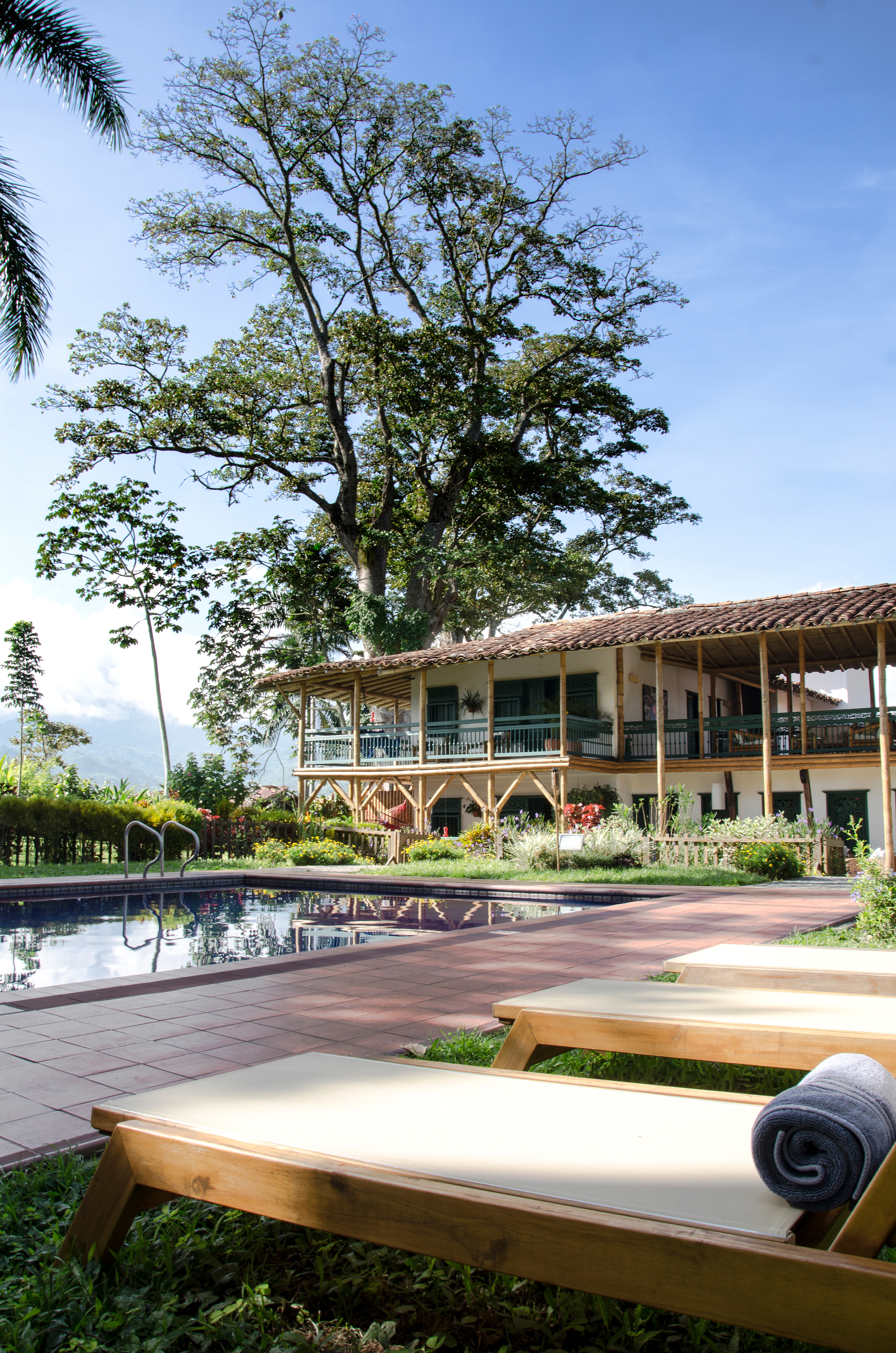 Lounge chairs sit beside a pool with a large tree and resort buildings in the background.