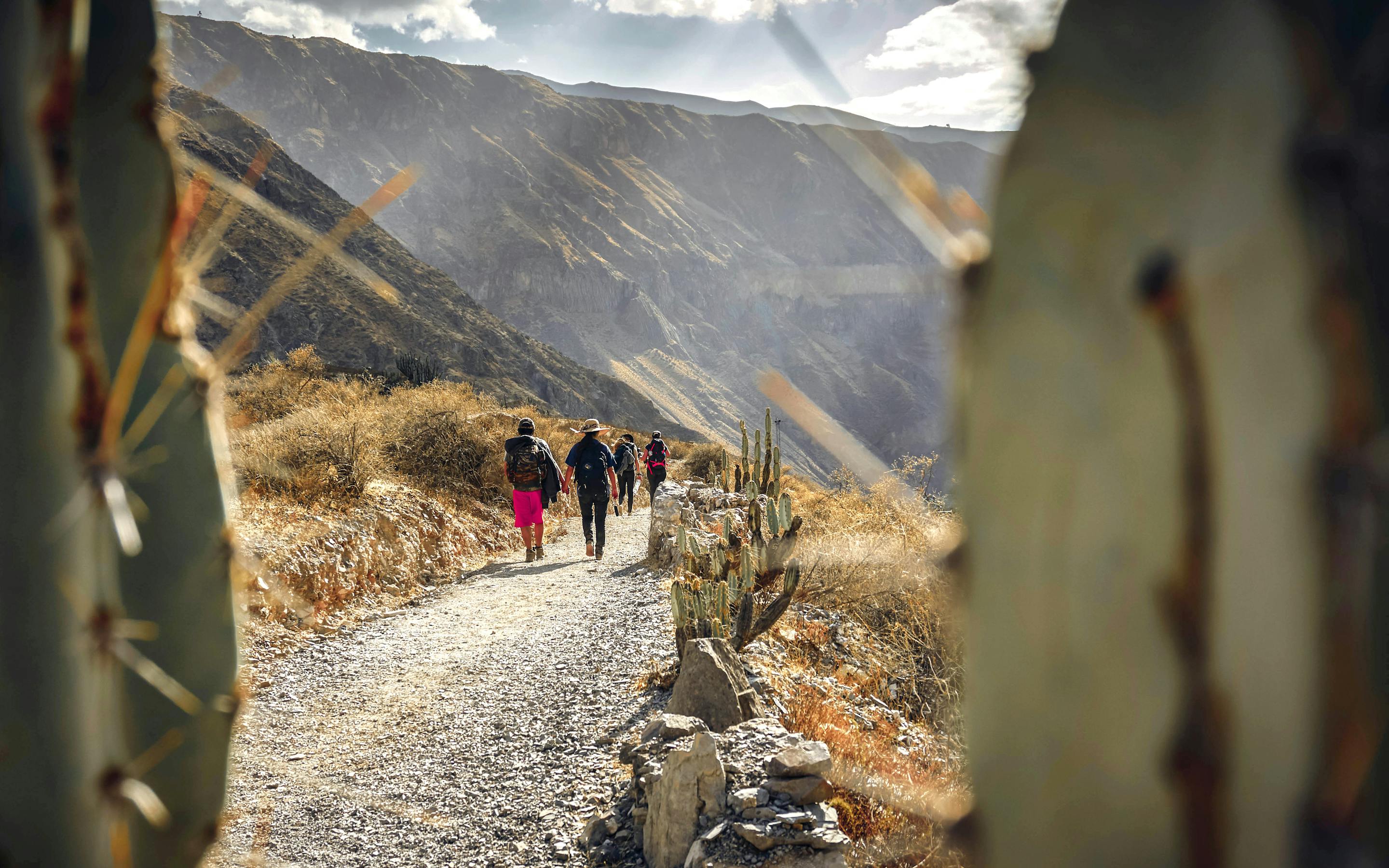 Hikers walk along a narrow mountain trail with steep slopes on both sides.