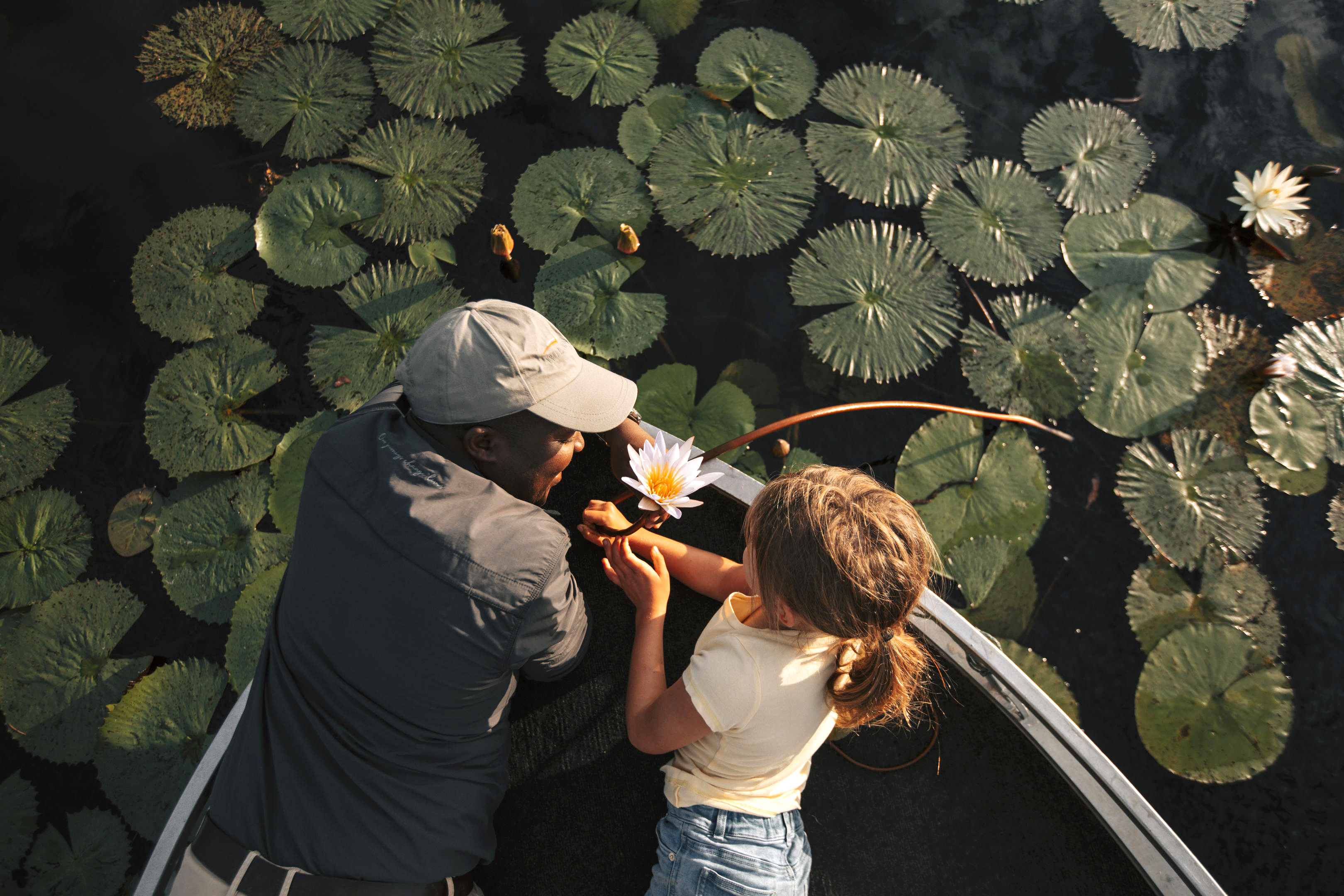 Two travelers ride in a small canoe through lily pads, reaching for water lilies on a calm, glassy wetland lagoon.