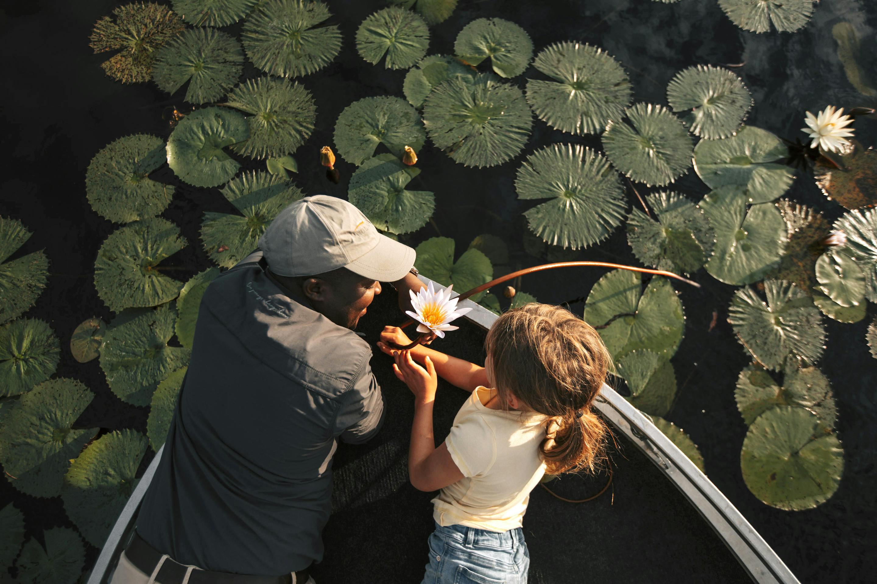 Two travelers ride in a small canoe through lily pads, reaching for water lilies on a calm, glassy wetland lagoon.