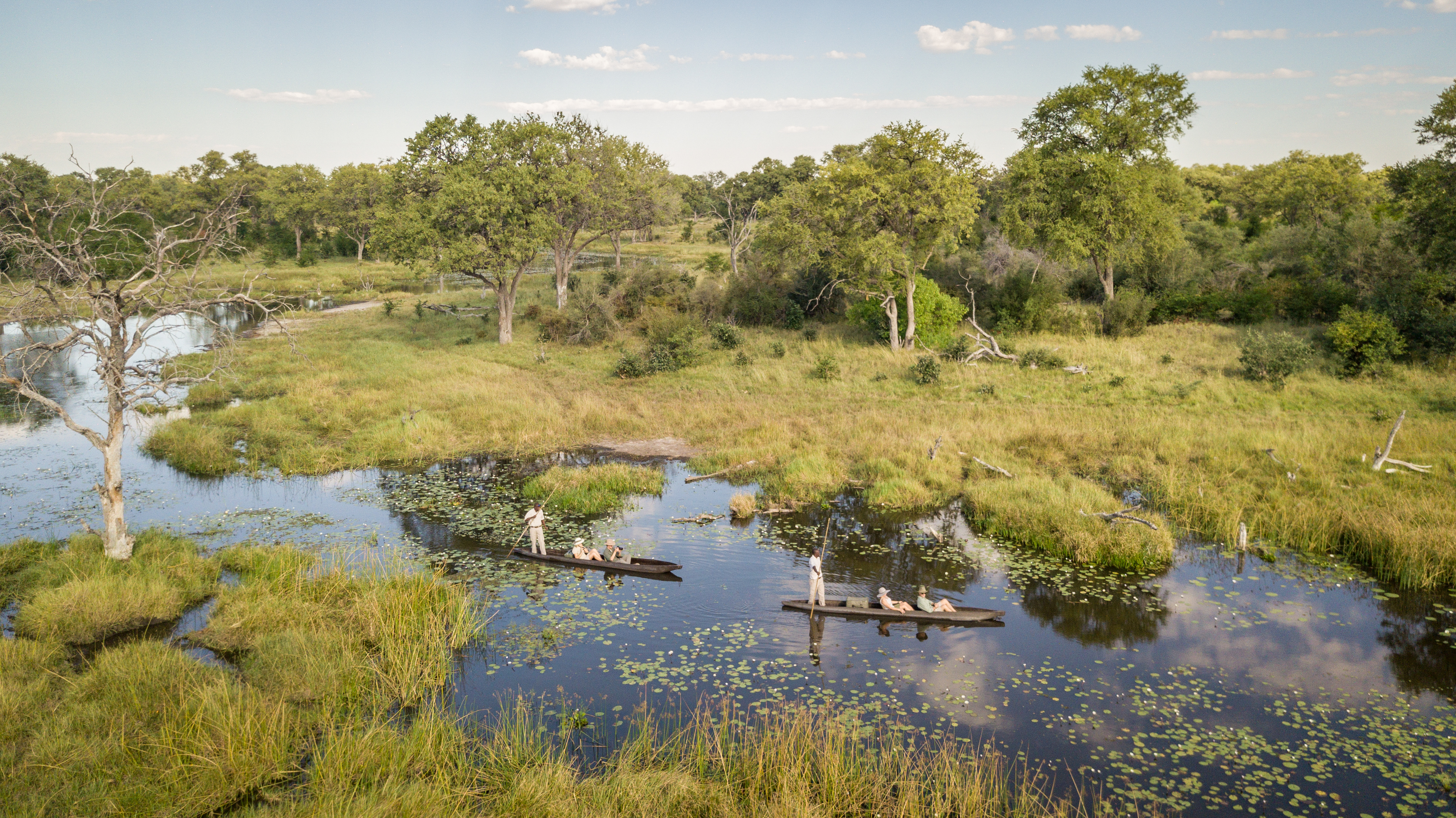 A mokoro glides along a narrow reed-lined channel, with a poler standing at the stern in still, quiet water.