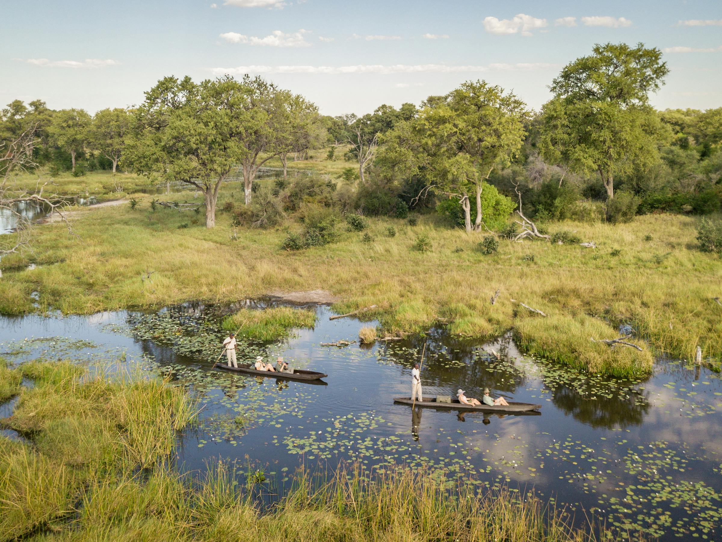 A mokoro glides along a narrow reed-lined channel, with a poler standing at the stern in still, quiet water.