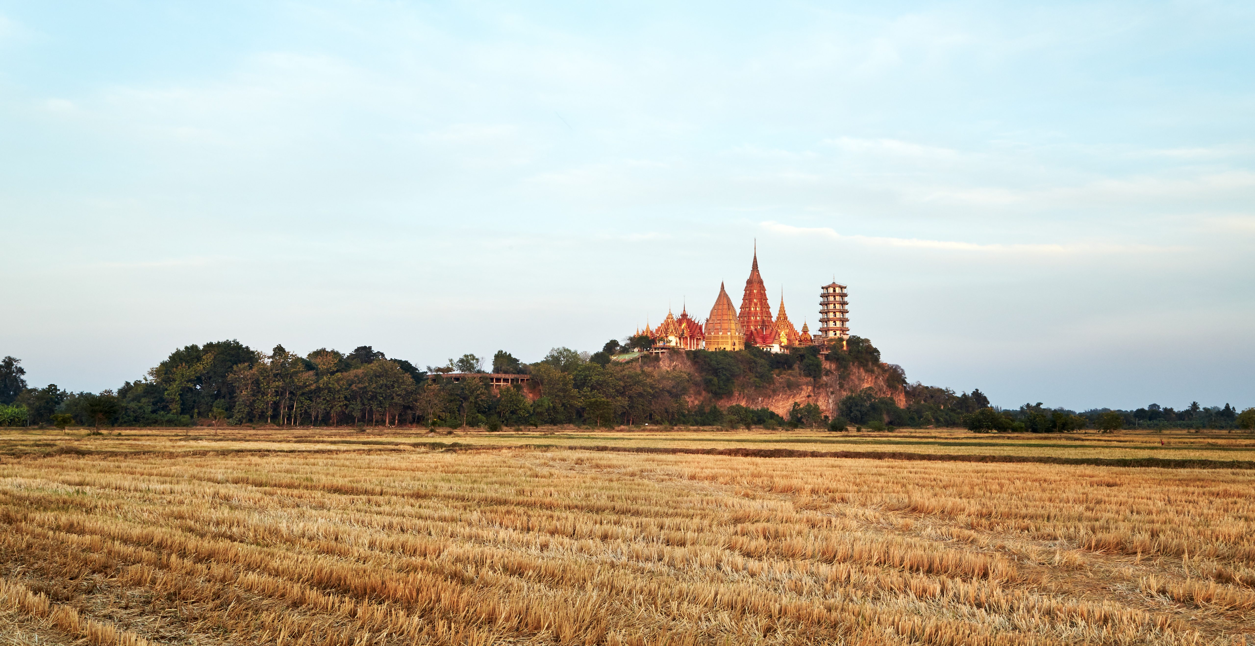Temple complex rises beyond open fields, with a wide sky and distant trees under soft afternoon light under soft daylight.
