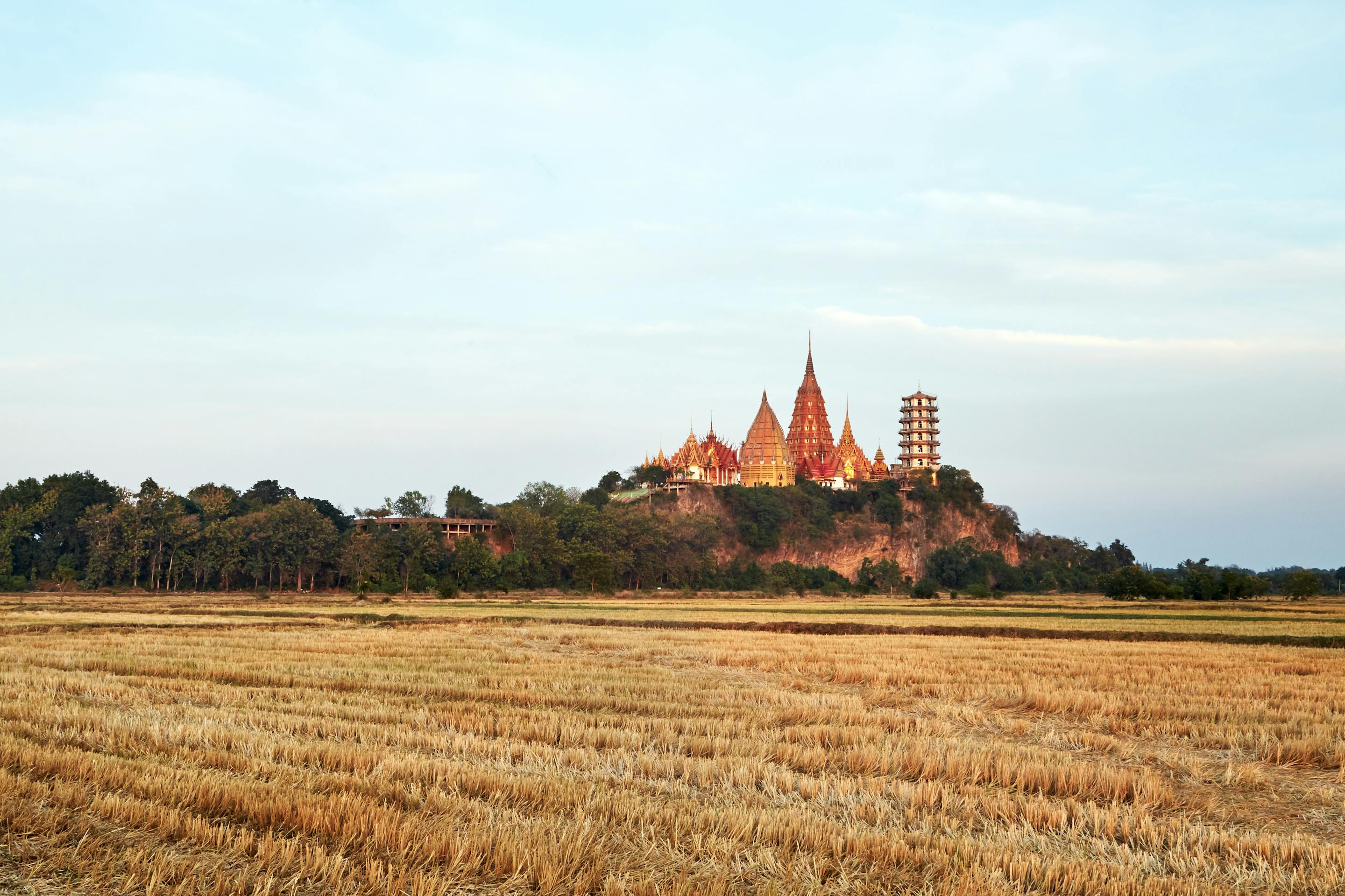 Temple complex rises beyond open fields, with a wide sky and distant trees under soft afternoon light under soft daylight.