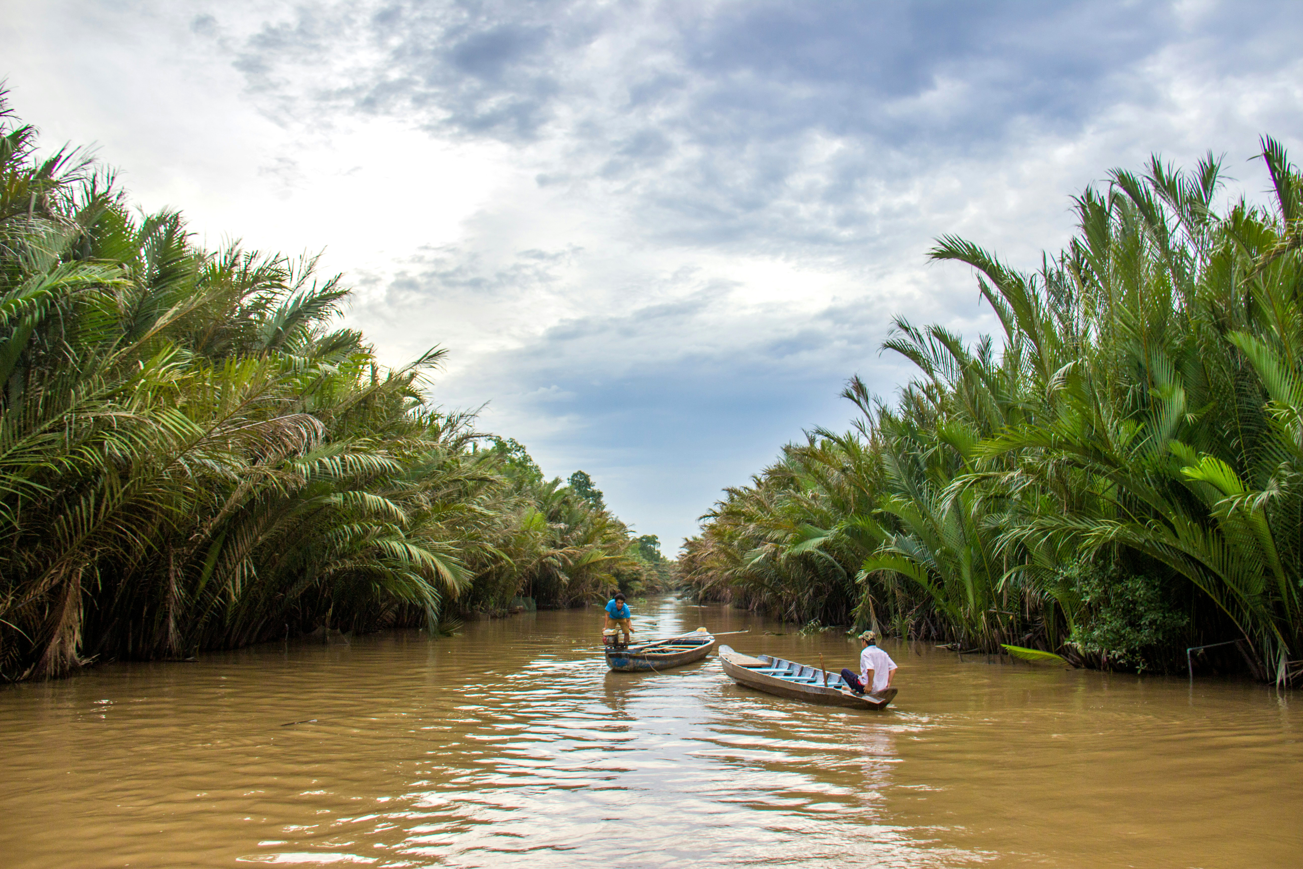 Small boats move along a palm-lined river, with fronds arching overhead and ripples trailing behind under soft daylight.