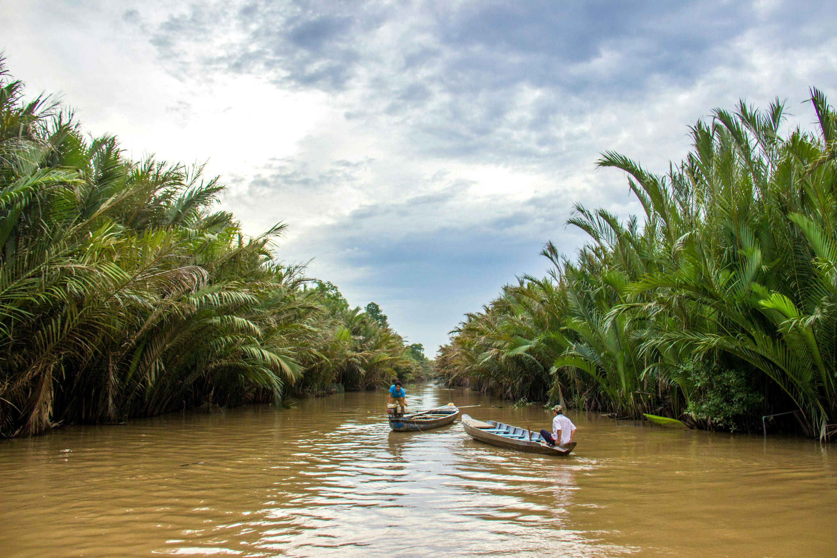 Small boats move along a palm-lined river, with fronds arching overhead and ripples trailing behind under soft daylight.