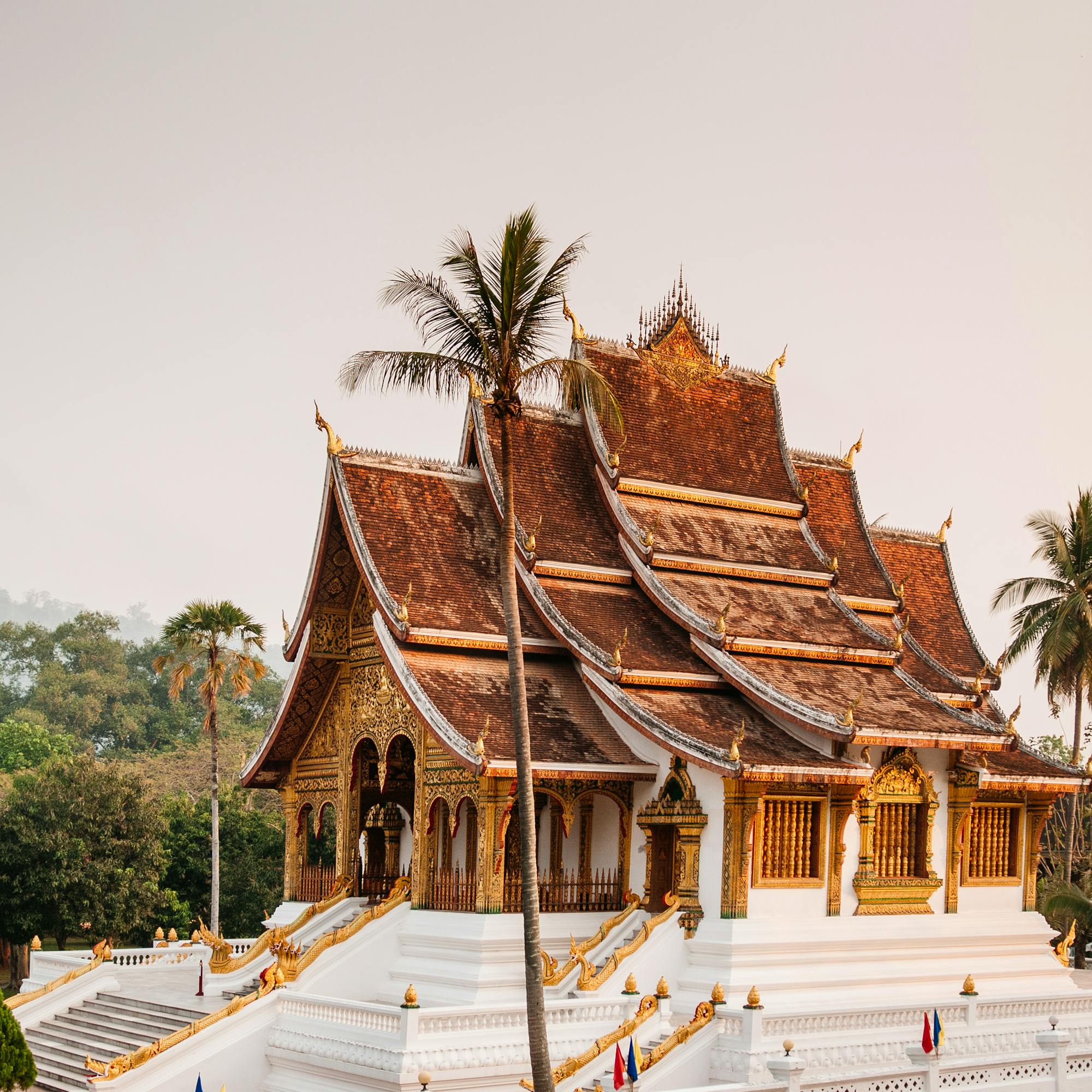 Ornate temple rooflines rise above a white terrace, with palm trees and a pale sky in the background under soft daylight.